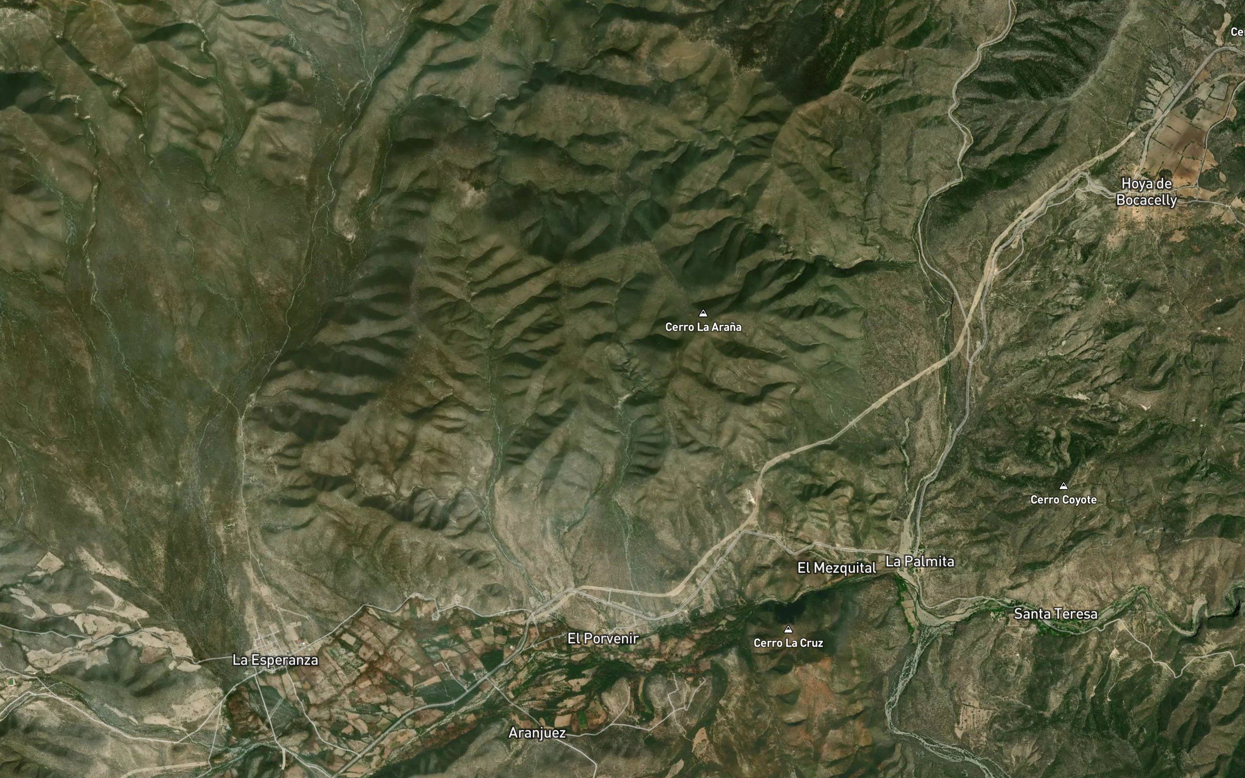 La Arana