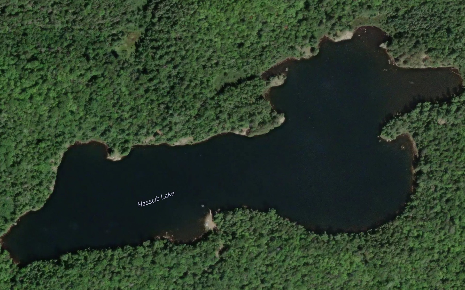 Satellite map of the Hasseib Lake
