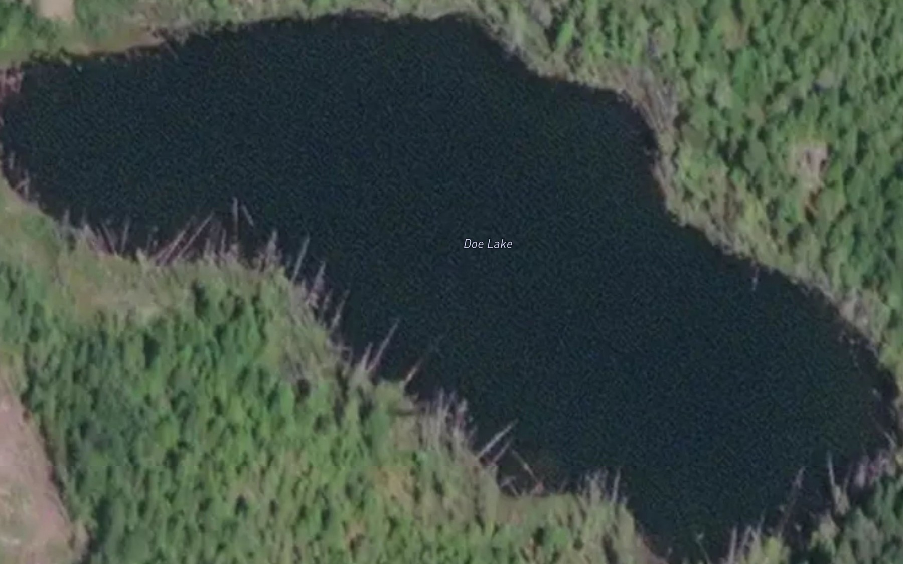 Satellite map of the Doe Lake