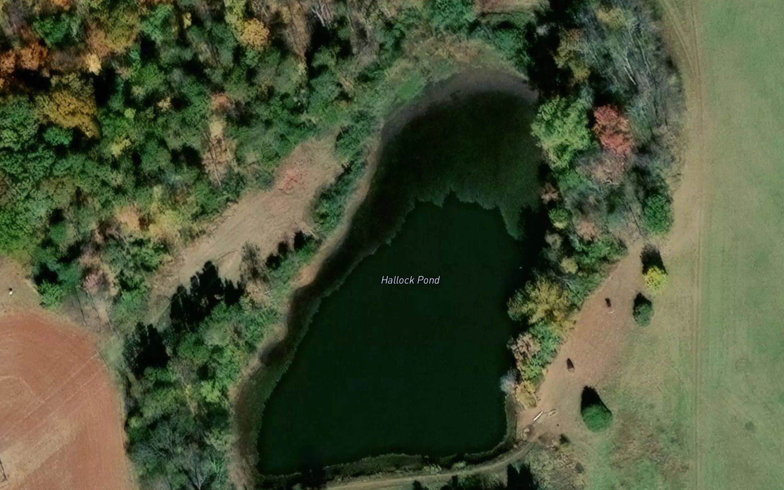 Hallock Pond