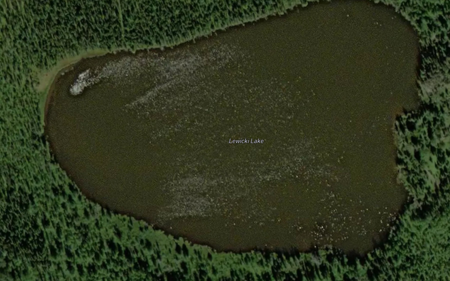 Satellite map of the Lewicki Lake