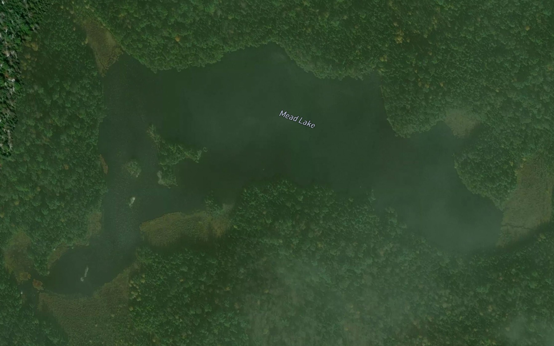 Satellite map of the Mead Lake