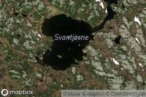 Svantjorne