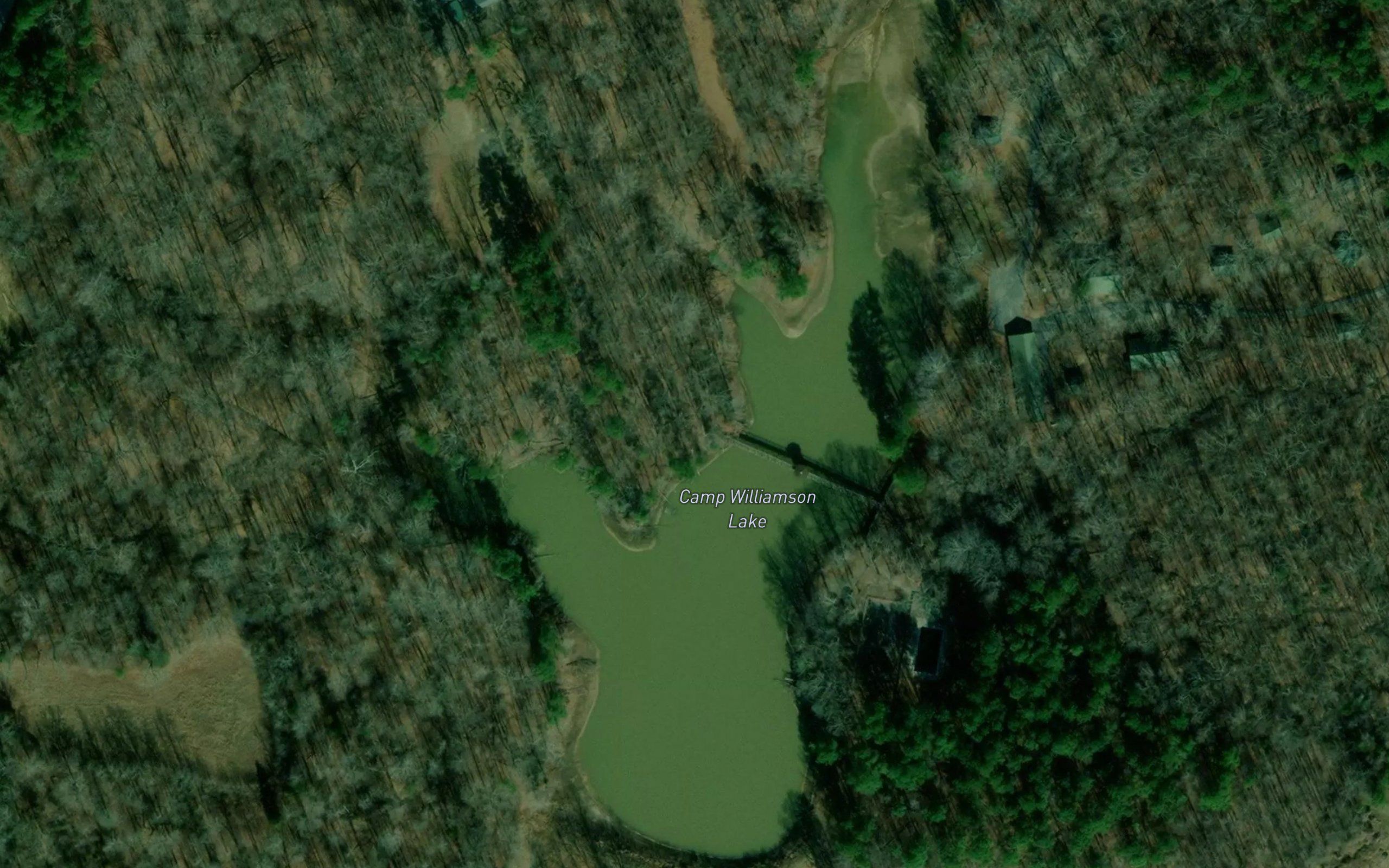 Camp Williamson Lake