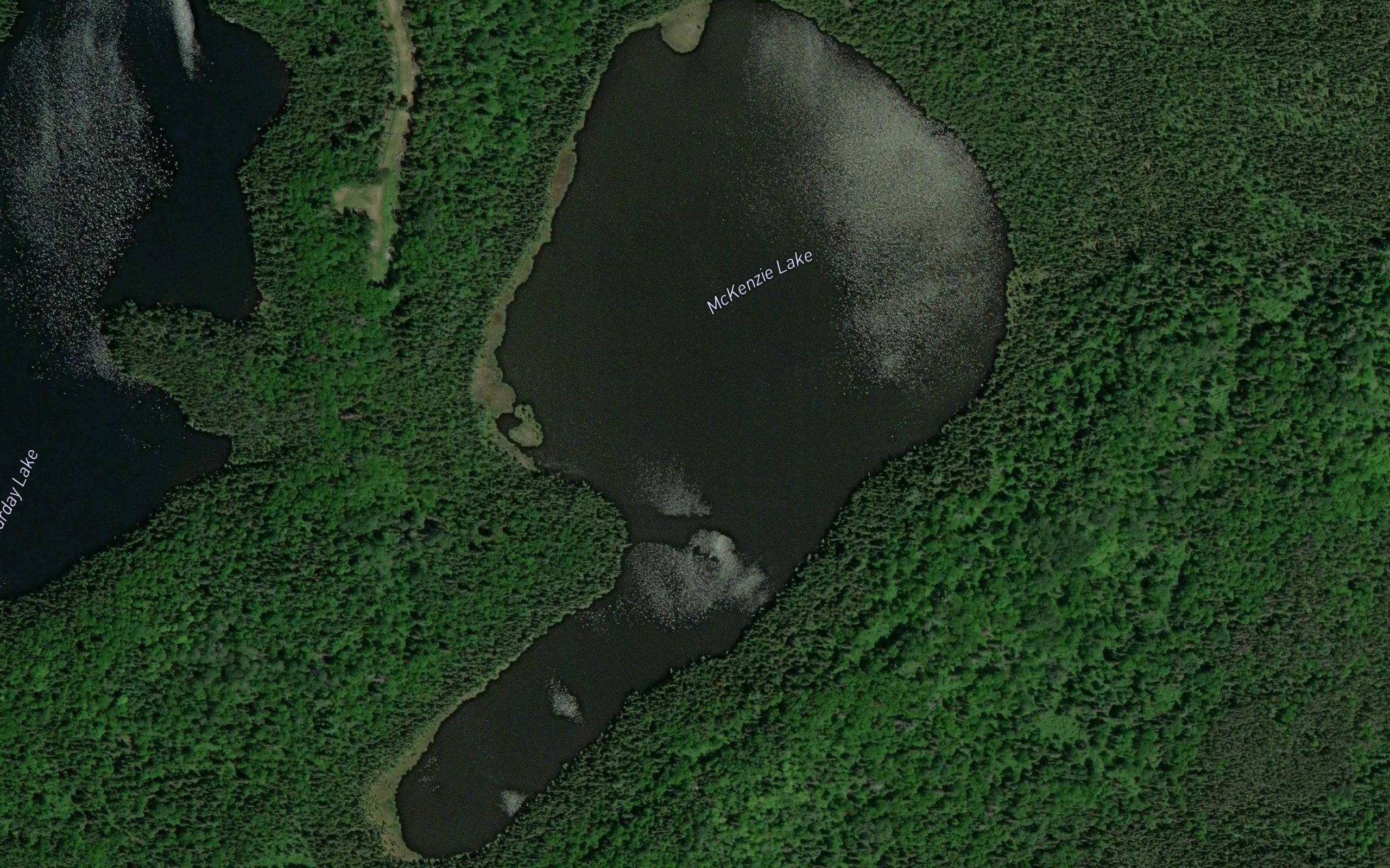 McKenzie Lake