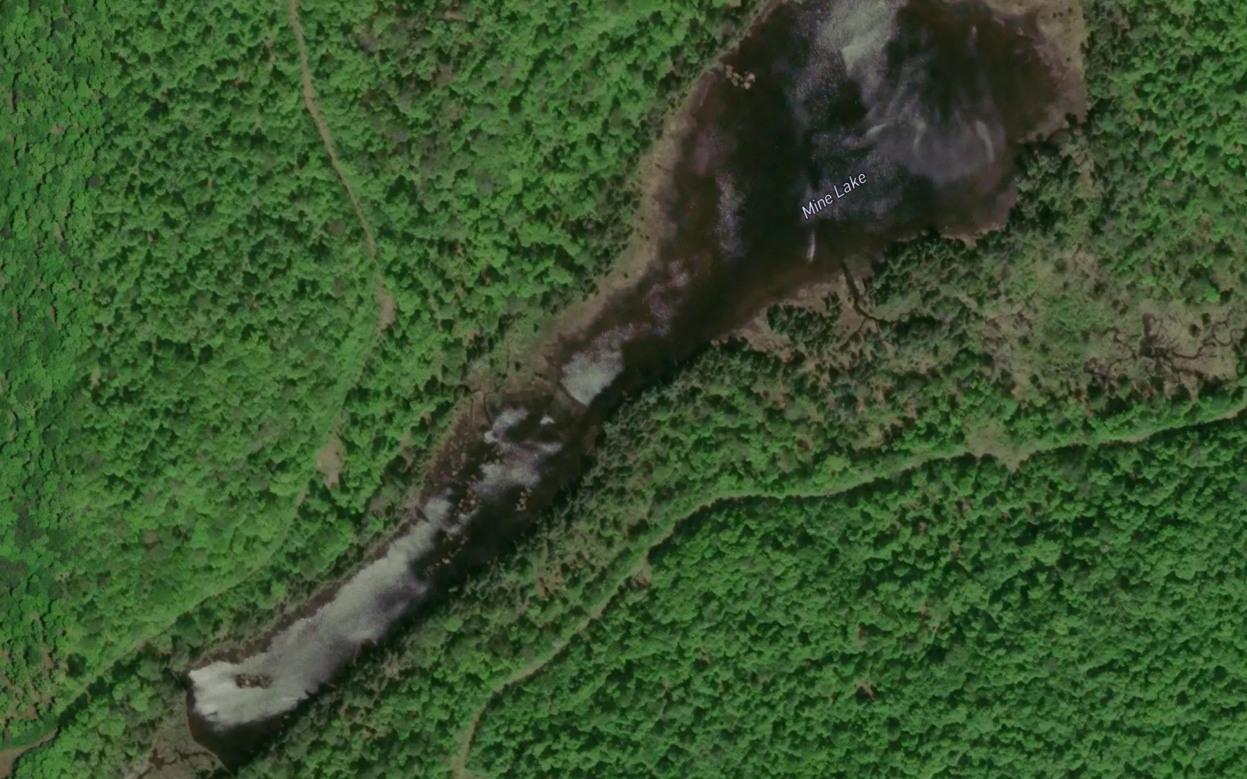 Satellite map of the Mine Lake