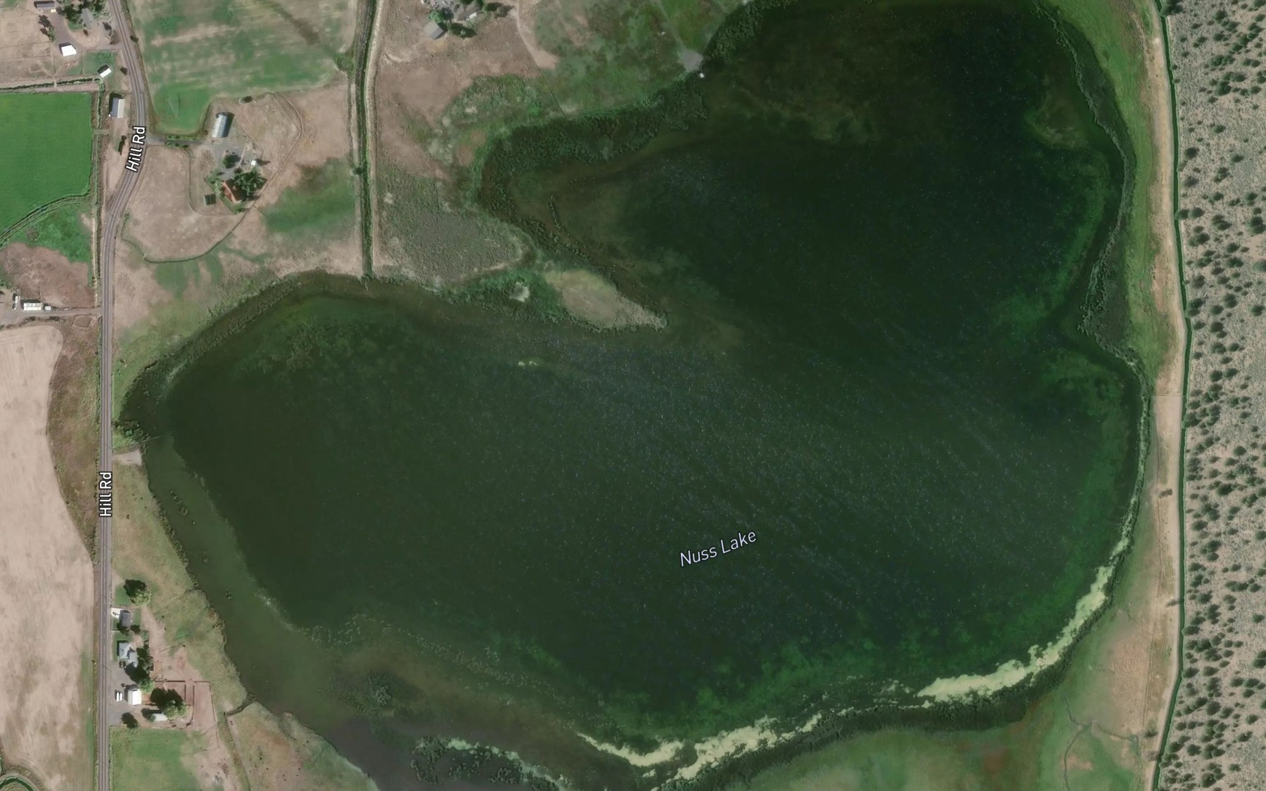 Satellite map of the Nuss Lake