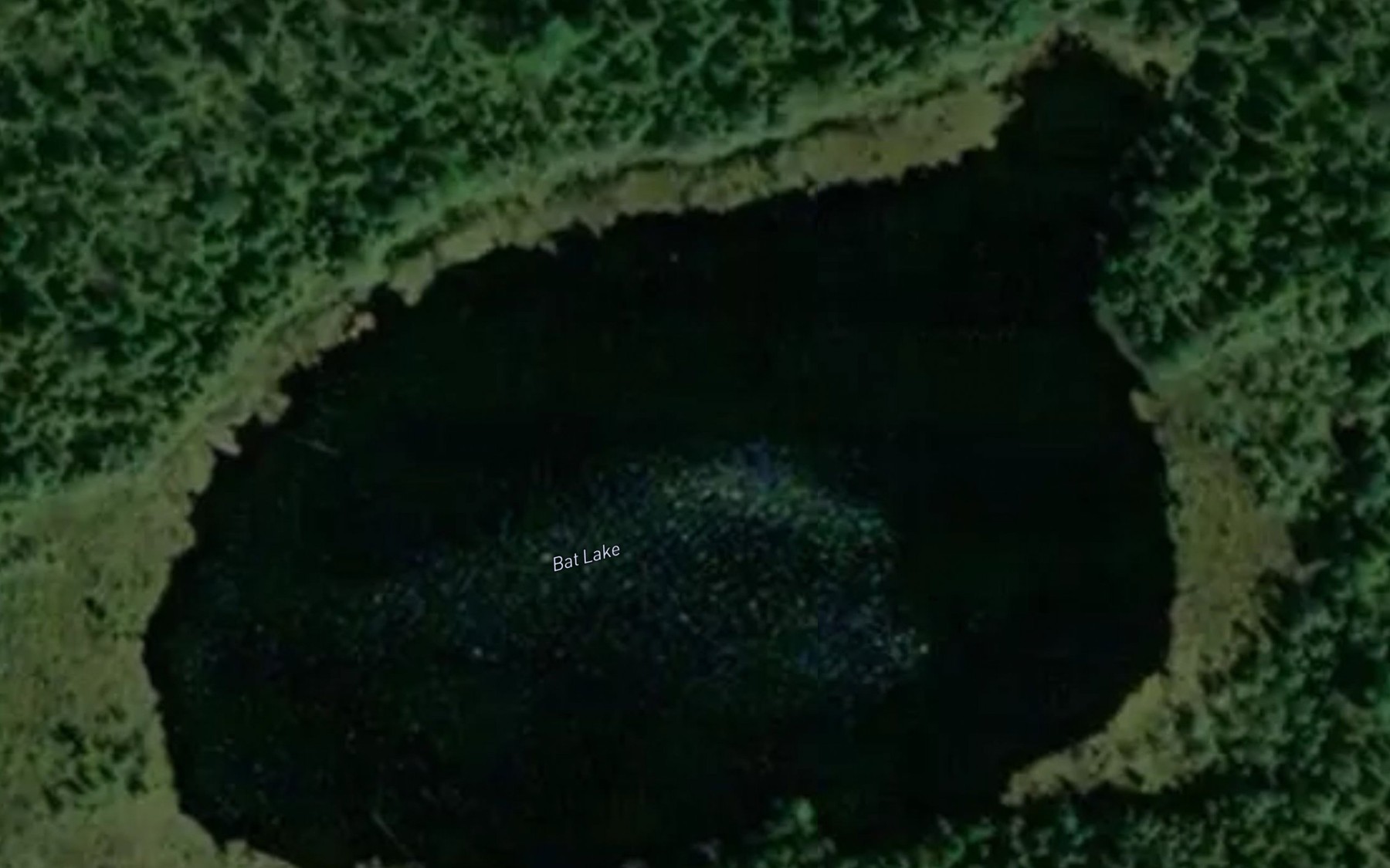 Satellite map of the Bat Lake