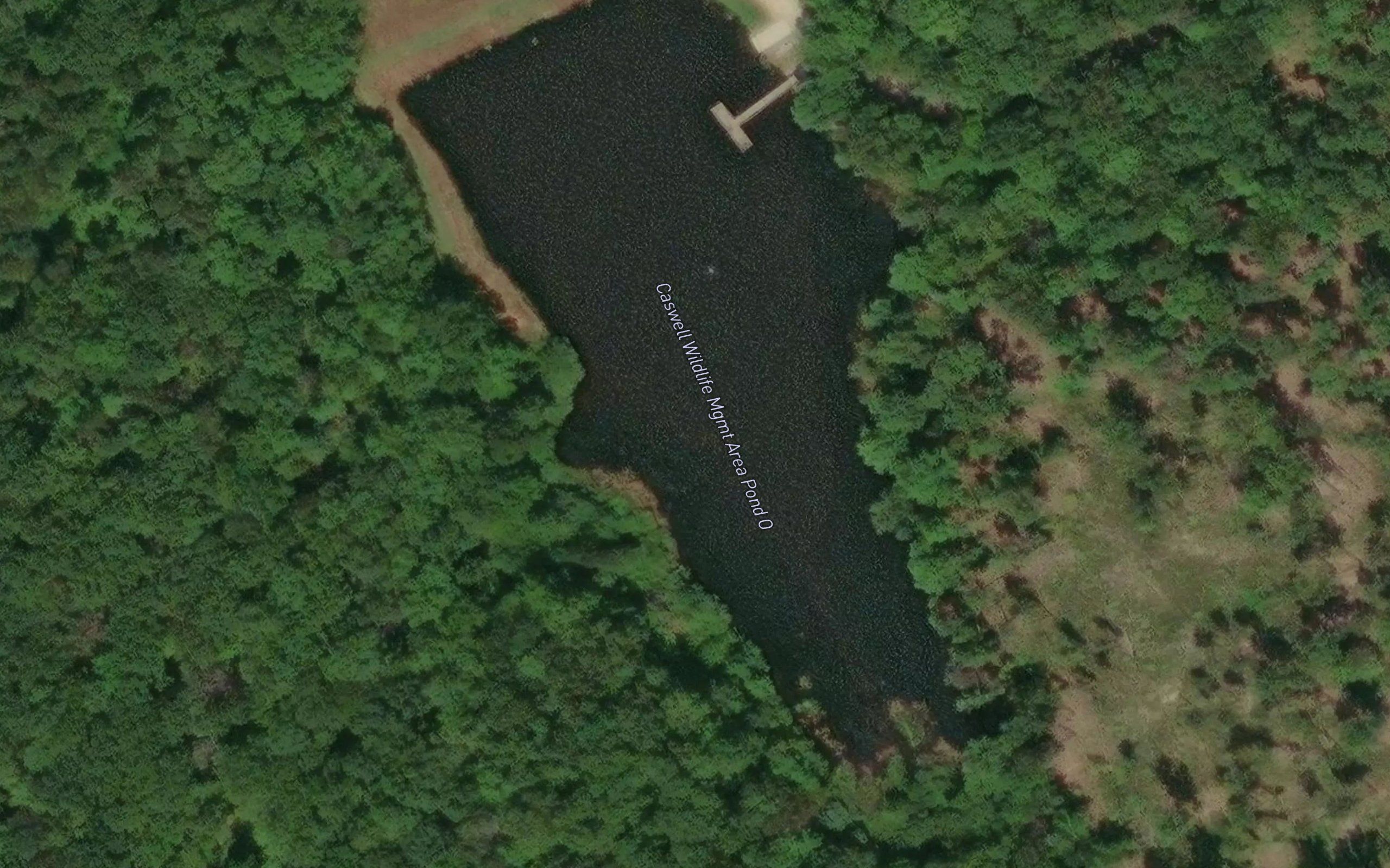 Caswell Wildlife Mgmt Area Pond O