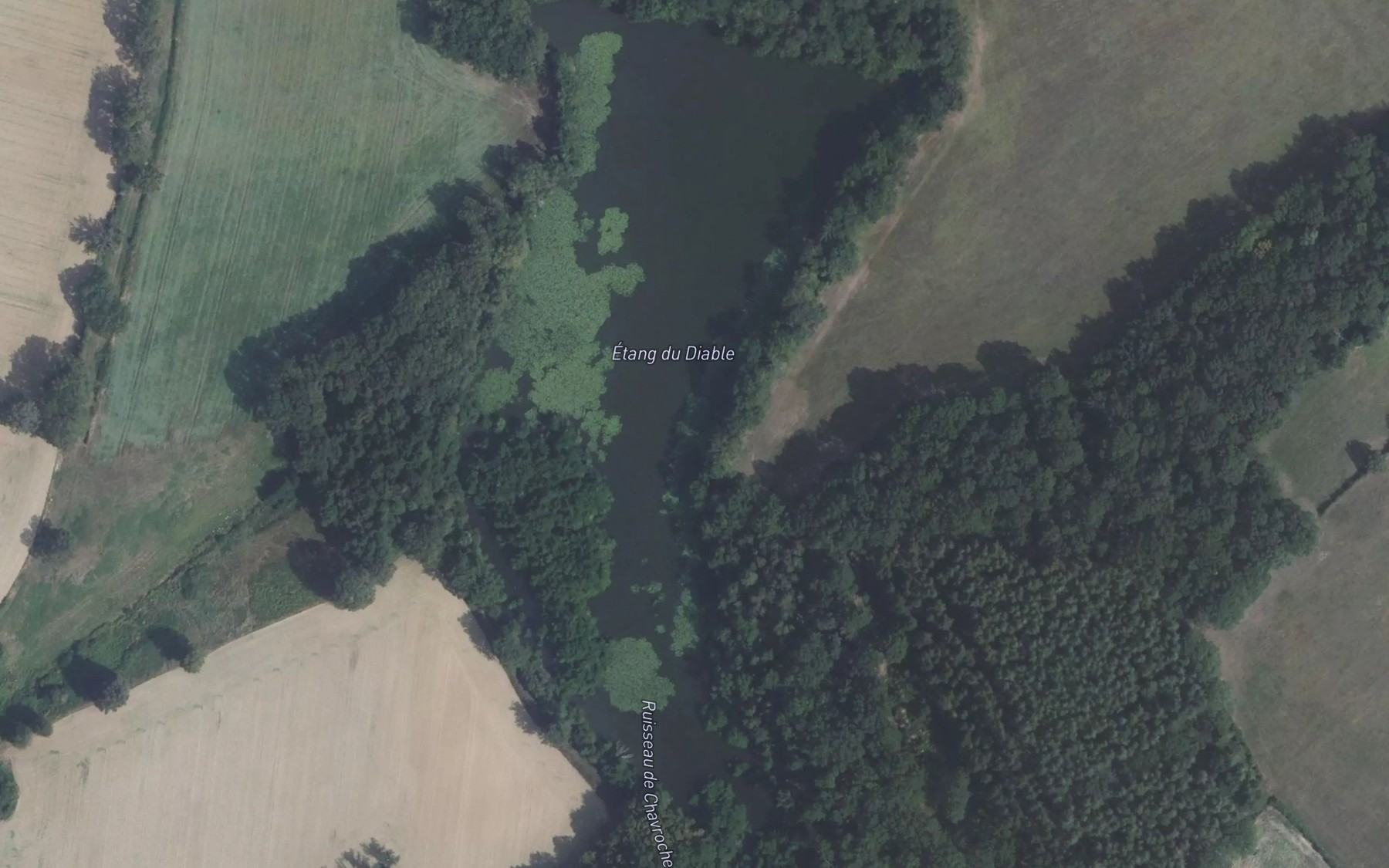 Satellite map of the Etang du Diable
