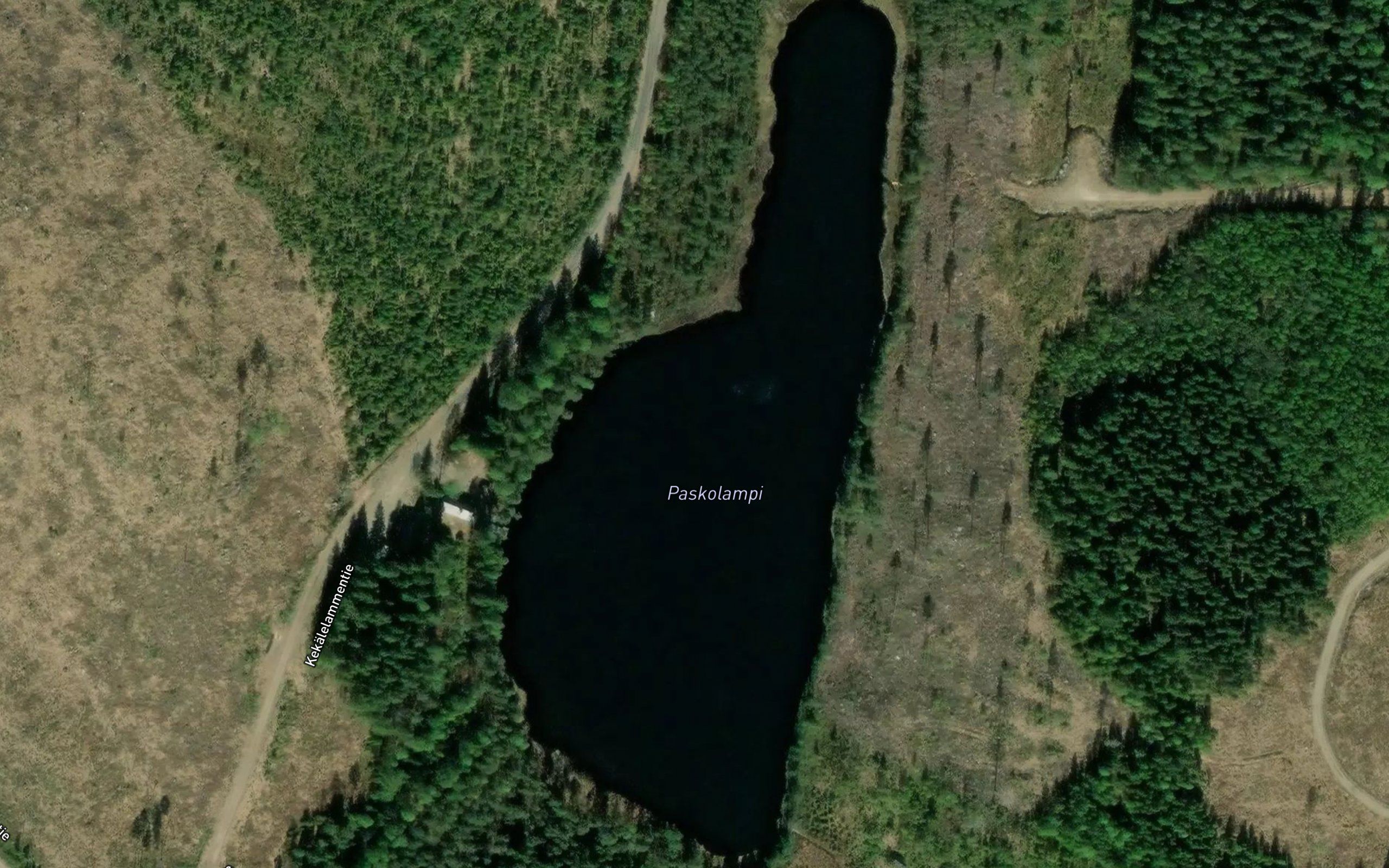 Paskolampi