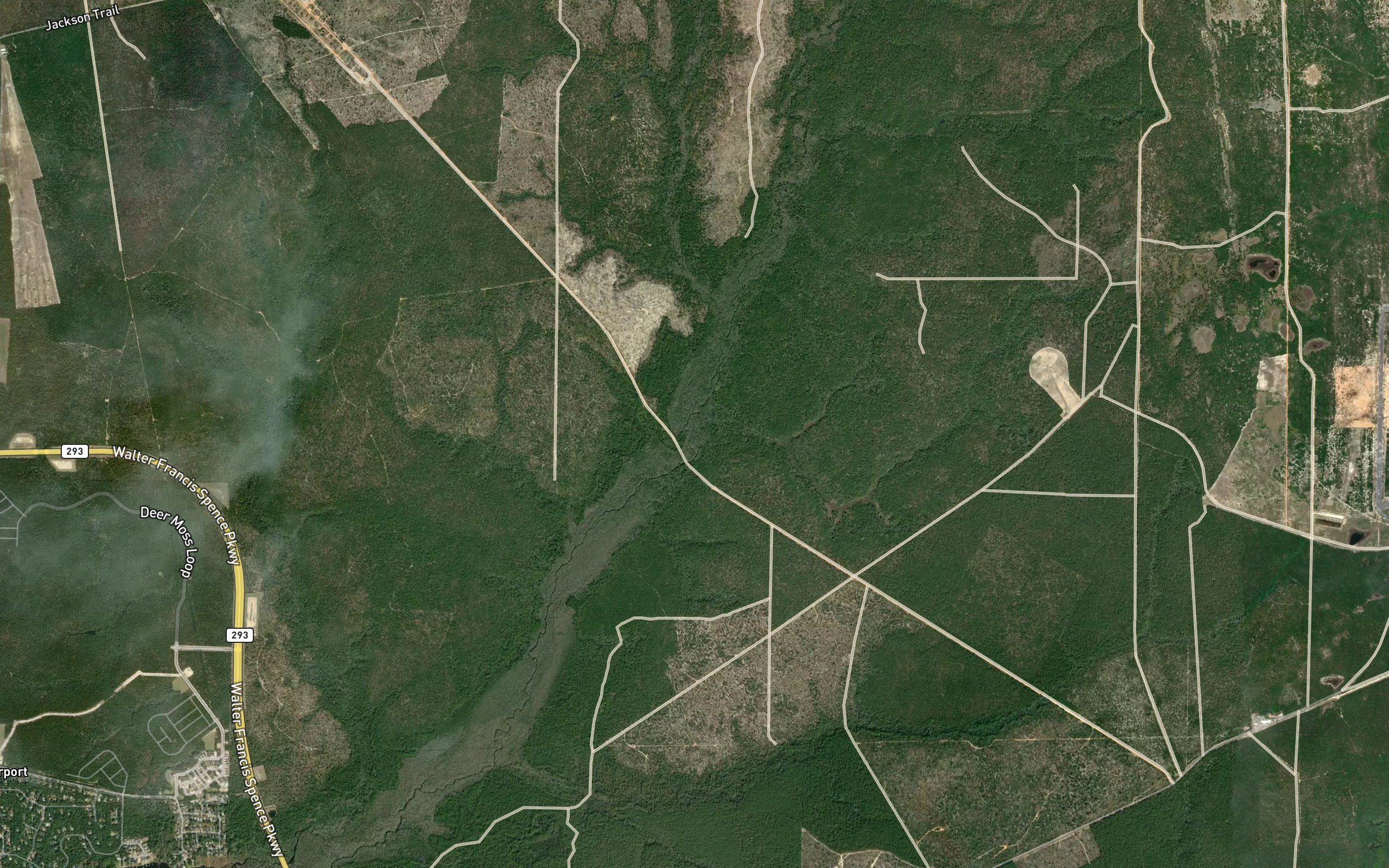 Hickory Branch