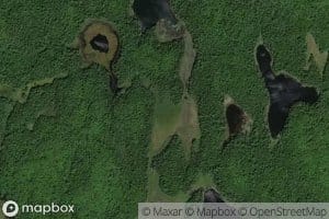 Vanishing Pond