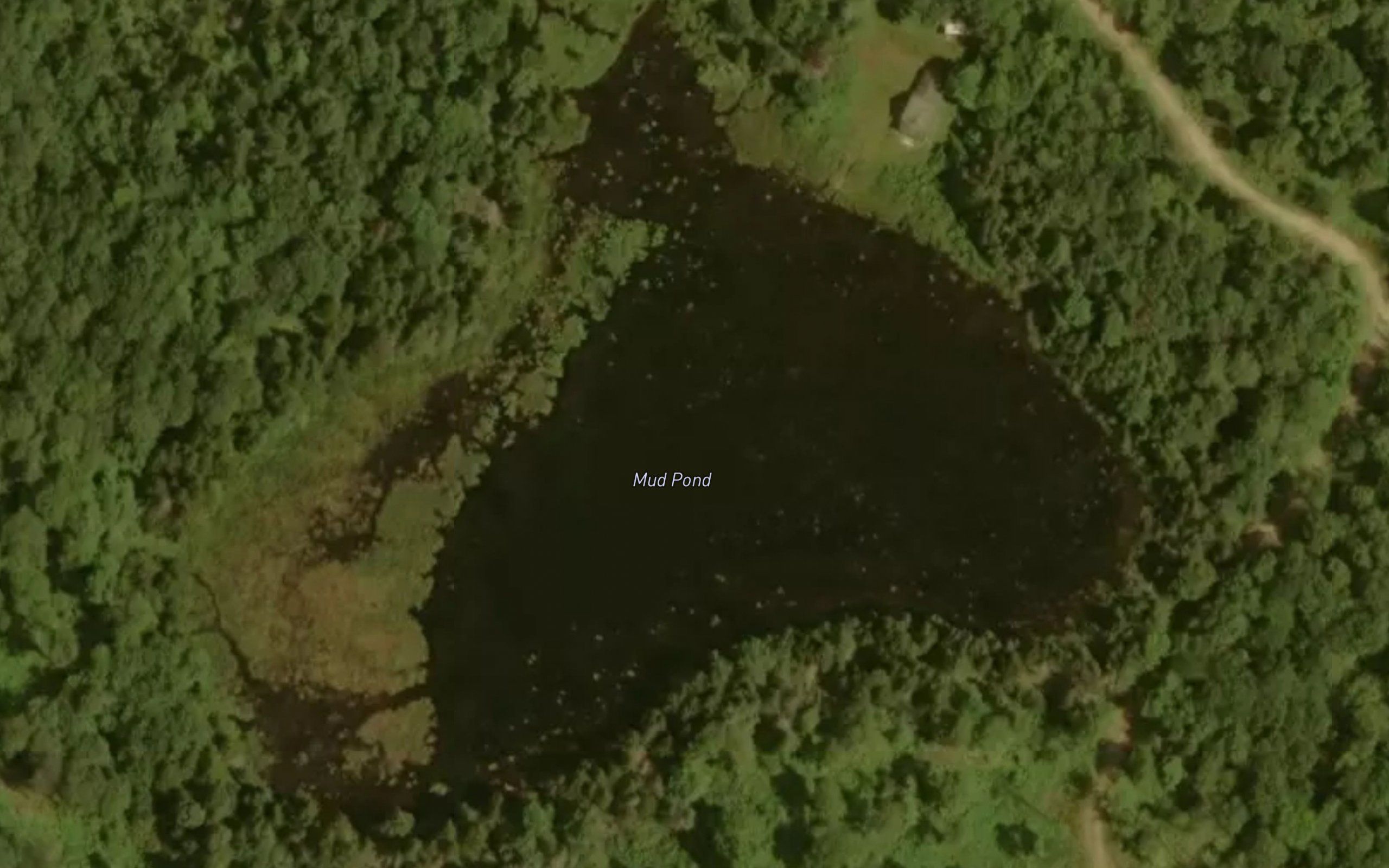 Mud Pond
