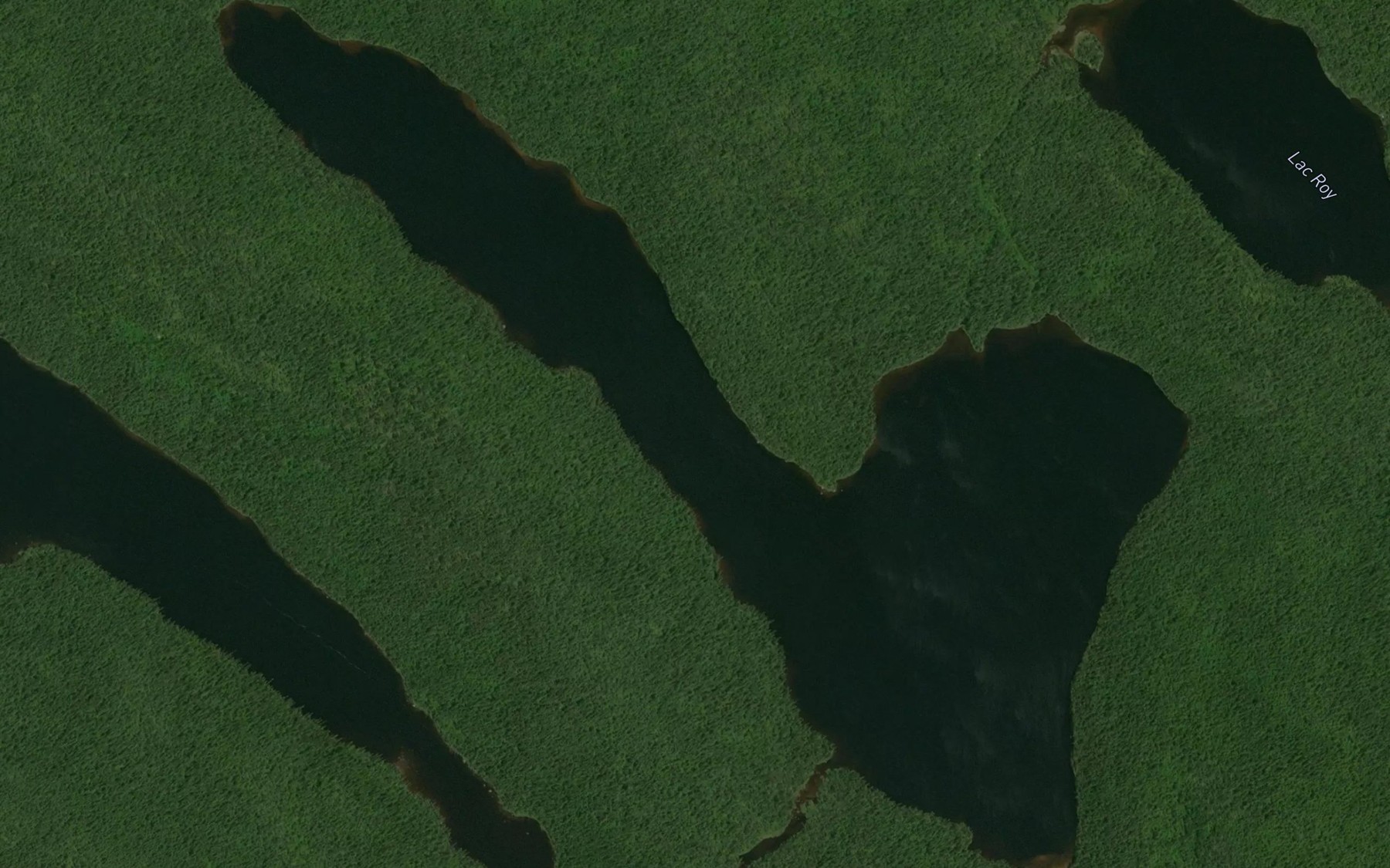 Satellite map of the Lac de l'Aloyau