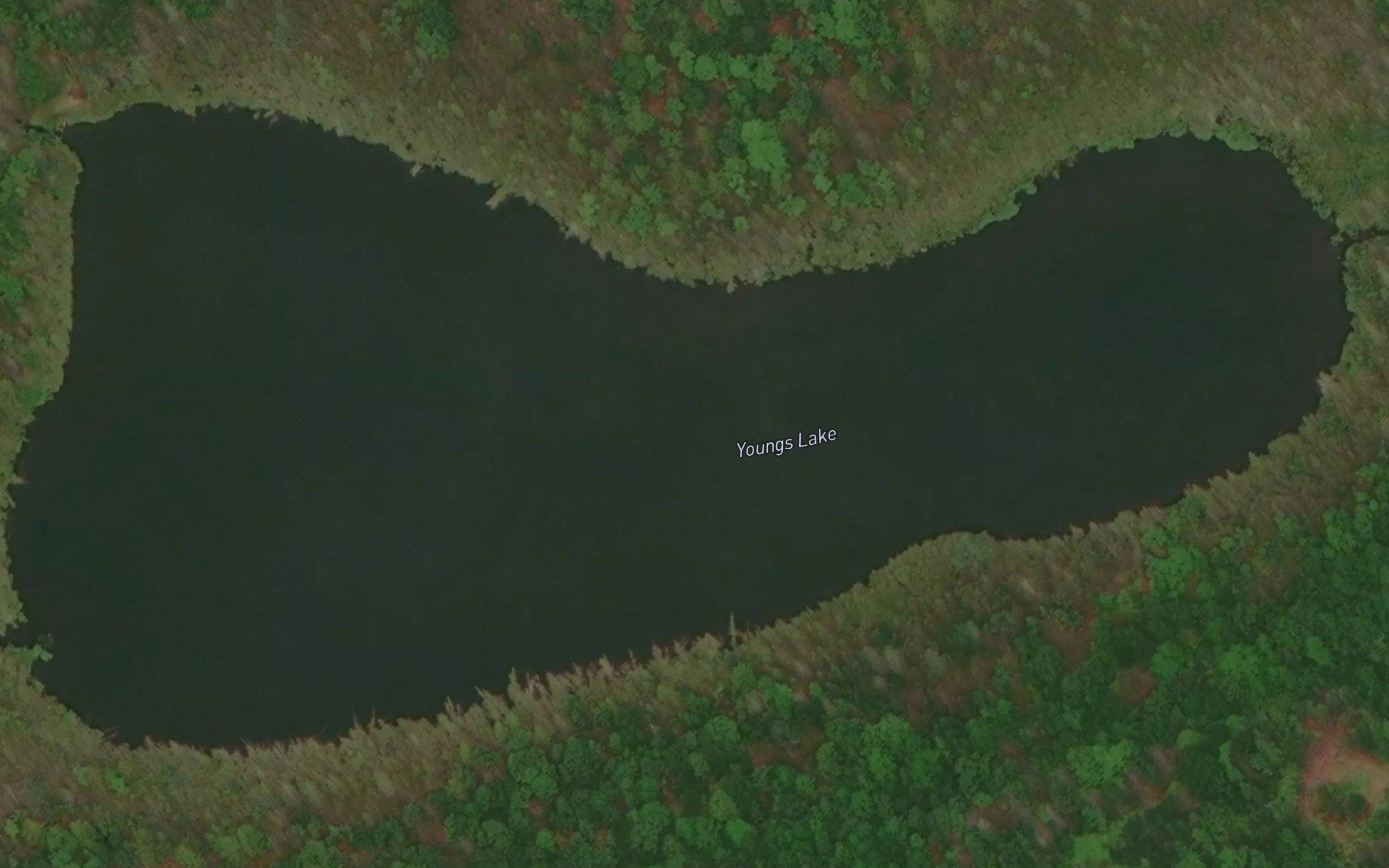 Youngs Lake