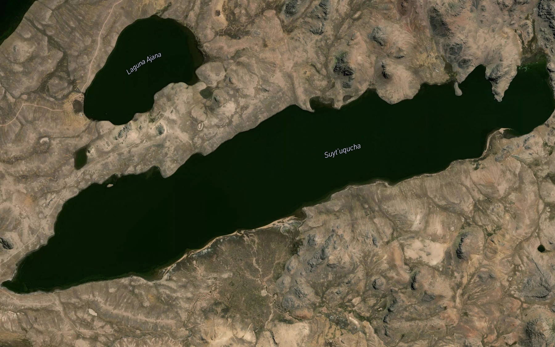 Satellite map of the Laguna Suitococha