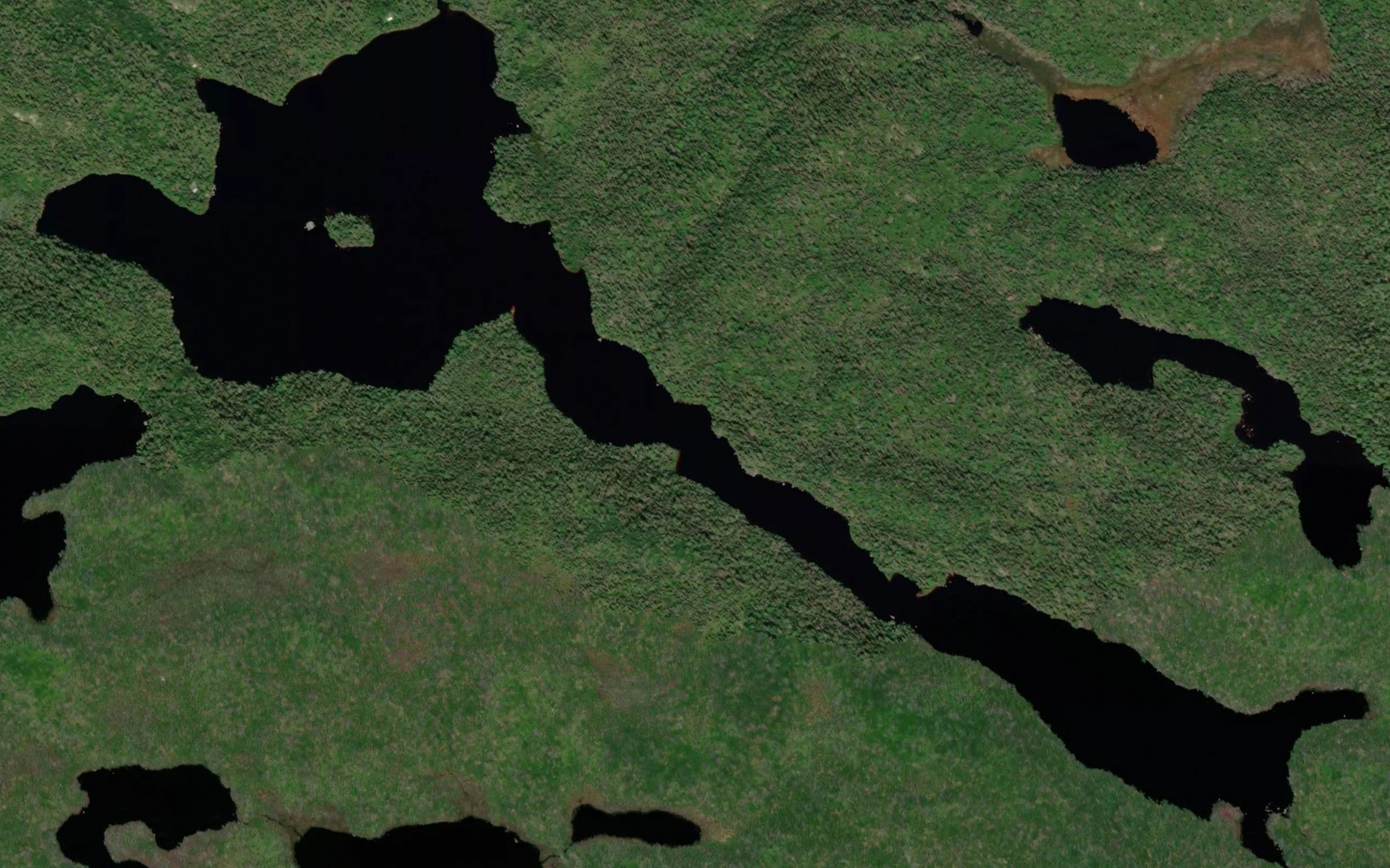 Satellite map of the Trout Lake
