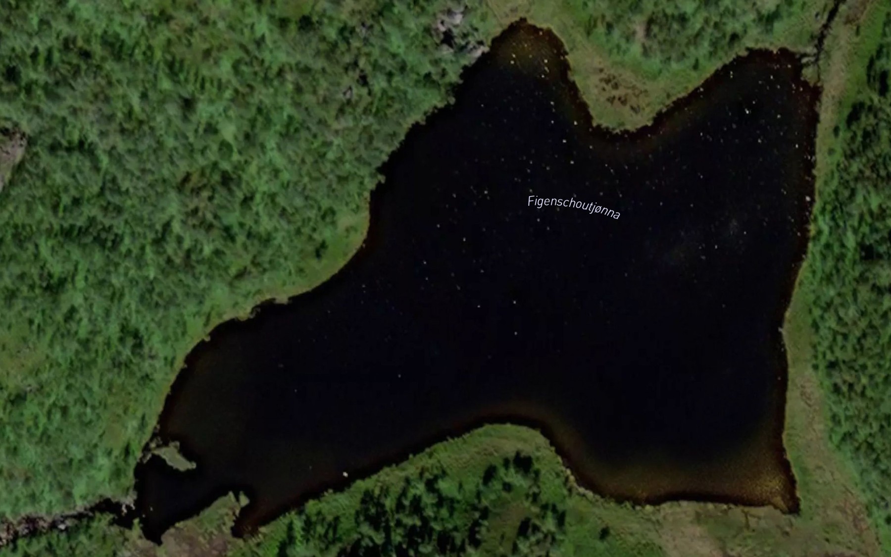 Satellite map of the Figenschoutjorna