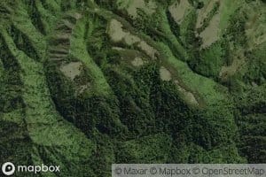 Whitiwhakatara Stream