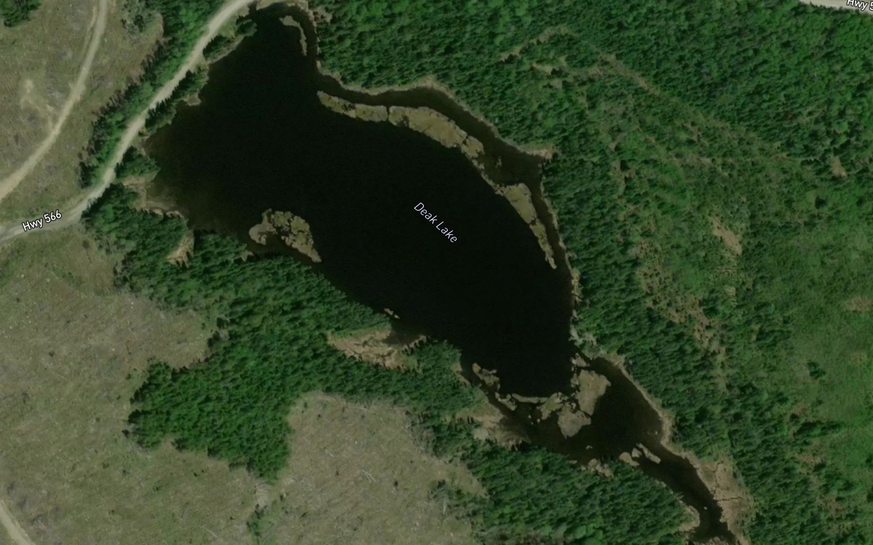 Satellite map of the Deak Lake
