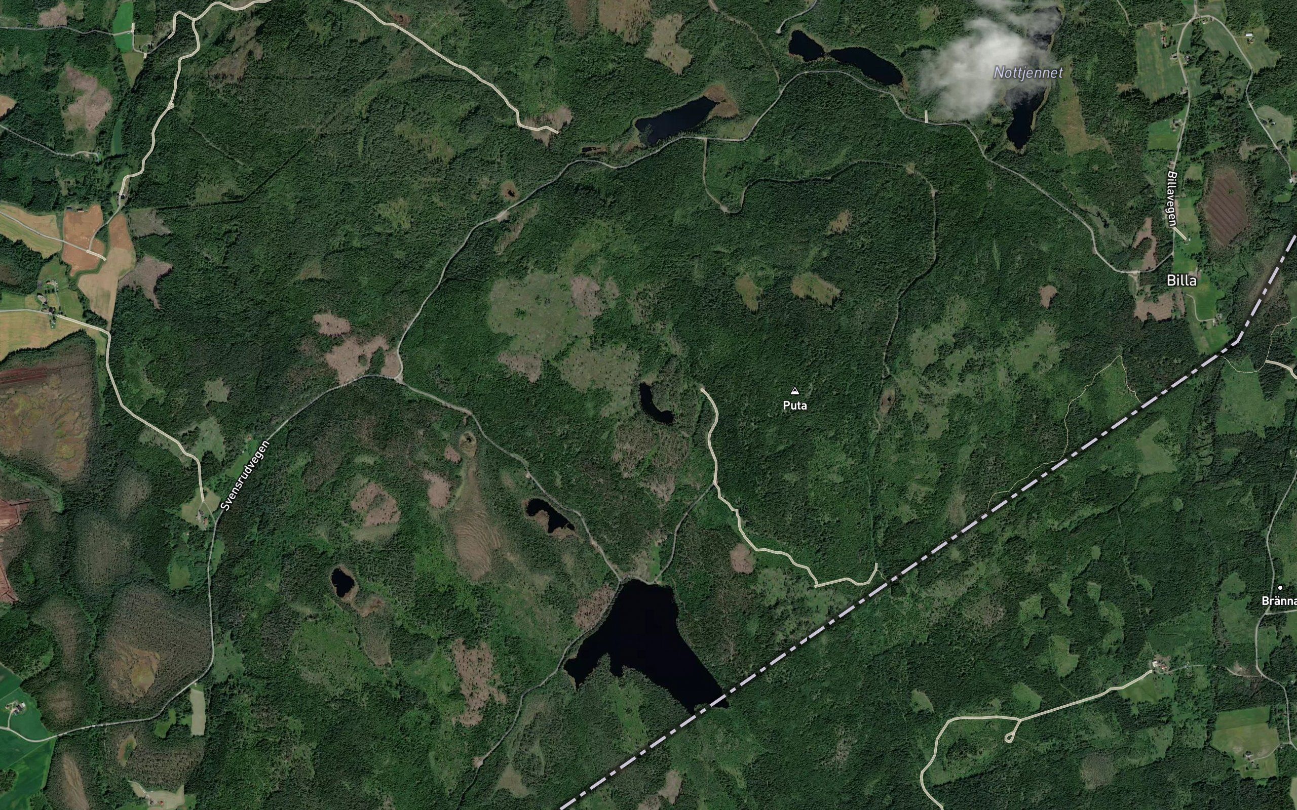 Svarttjennet