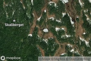Radelstjernet