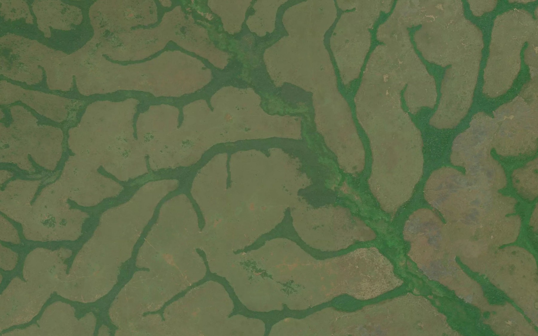 Satellite map of the Beri