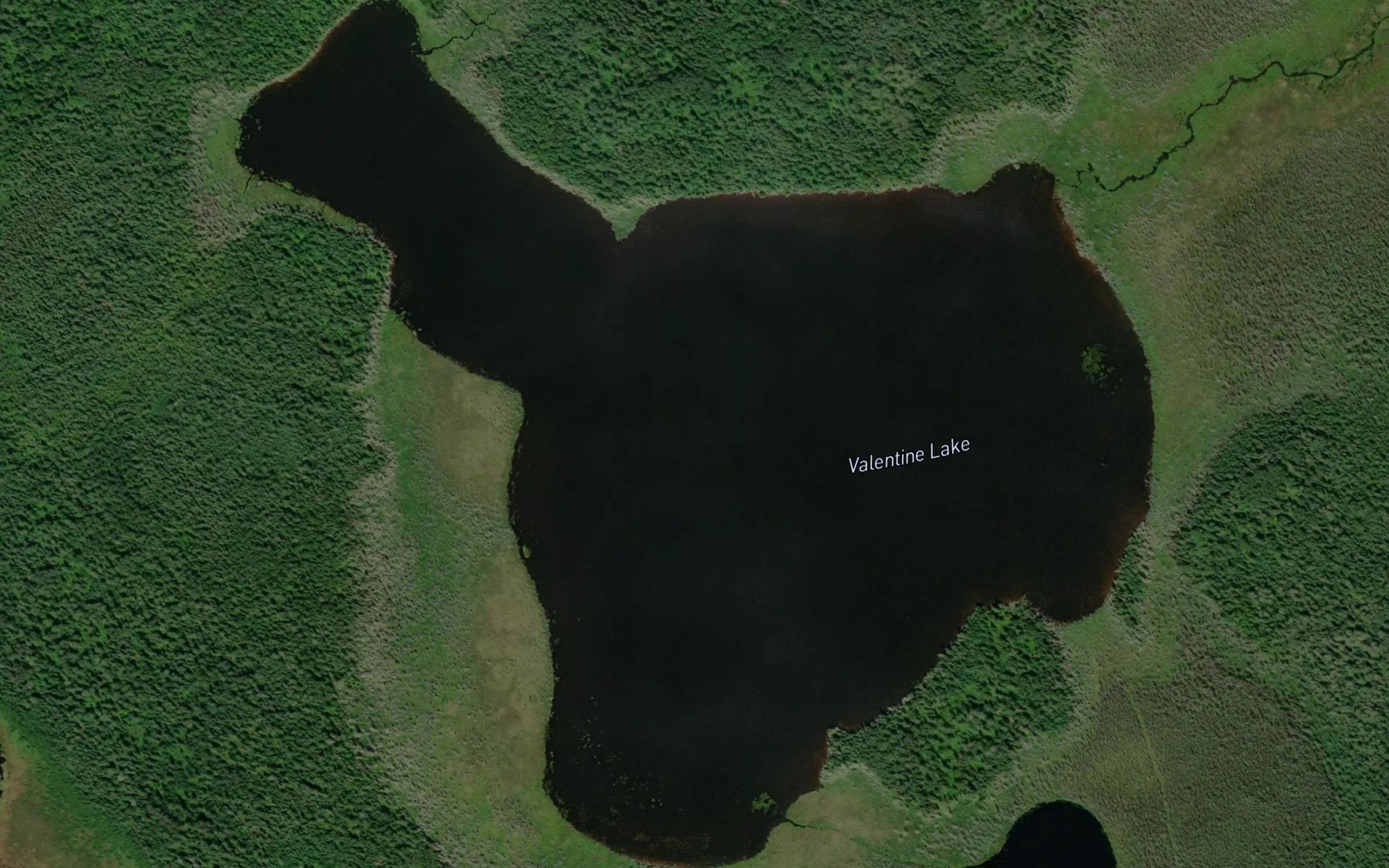 Satellite map of the Valentine Lake