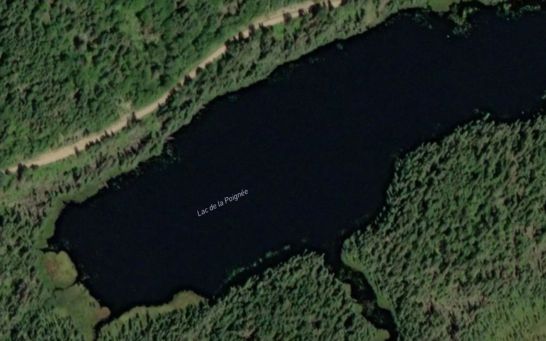 Satellite map of the Lac de la Poignee
