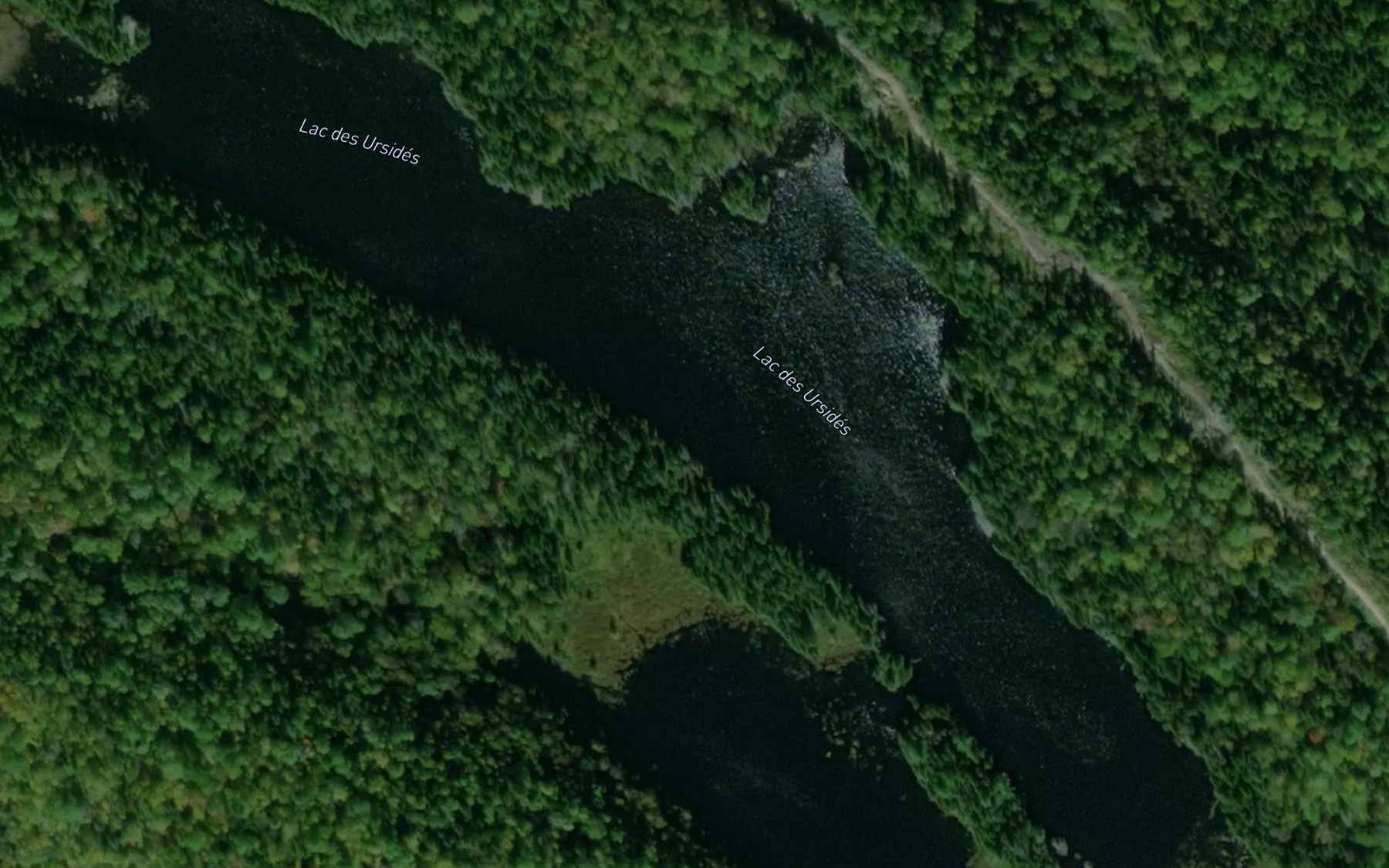 Satellite map of the Lac des Ursides