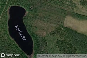 Kartuskalampi