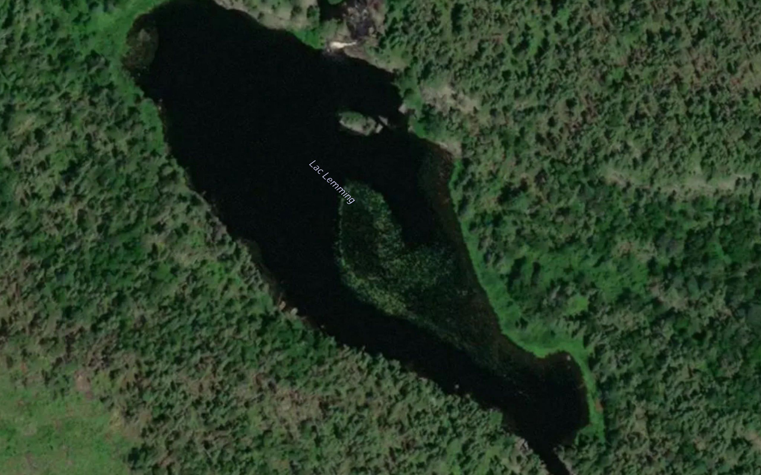 Lac Lemming