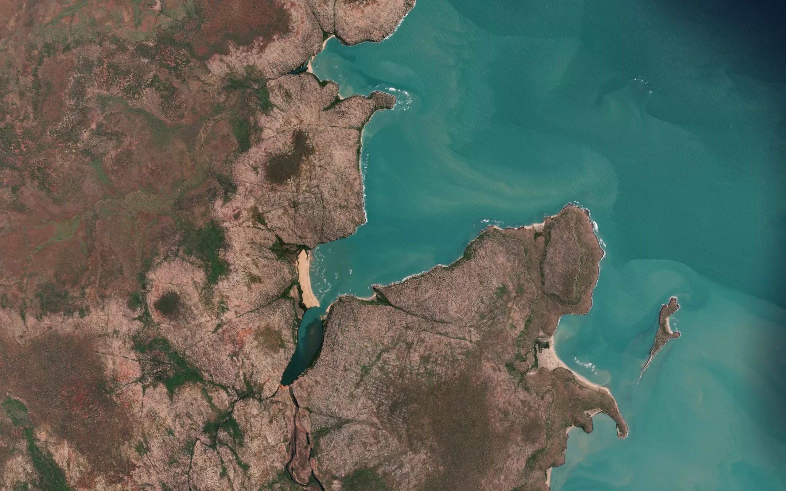 Glycosmis Bay