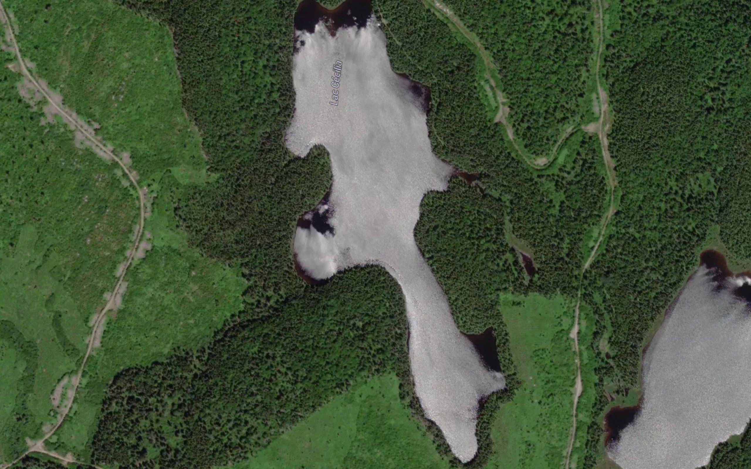 Lac Cecilia