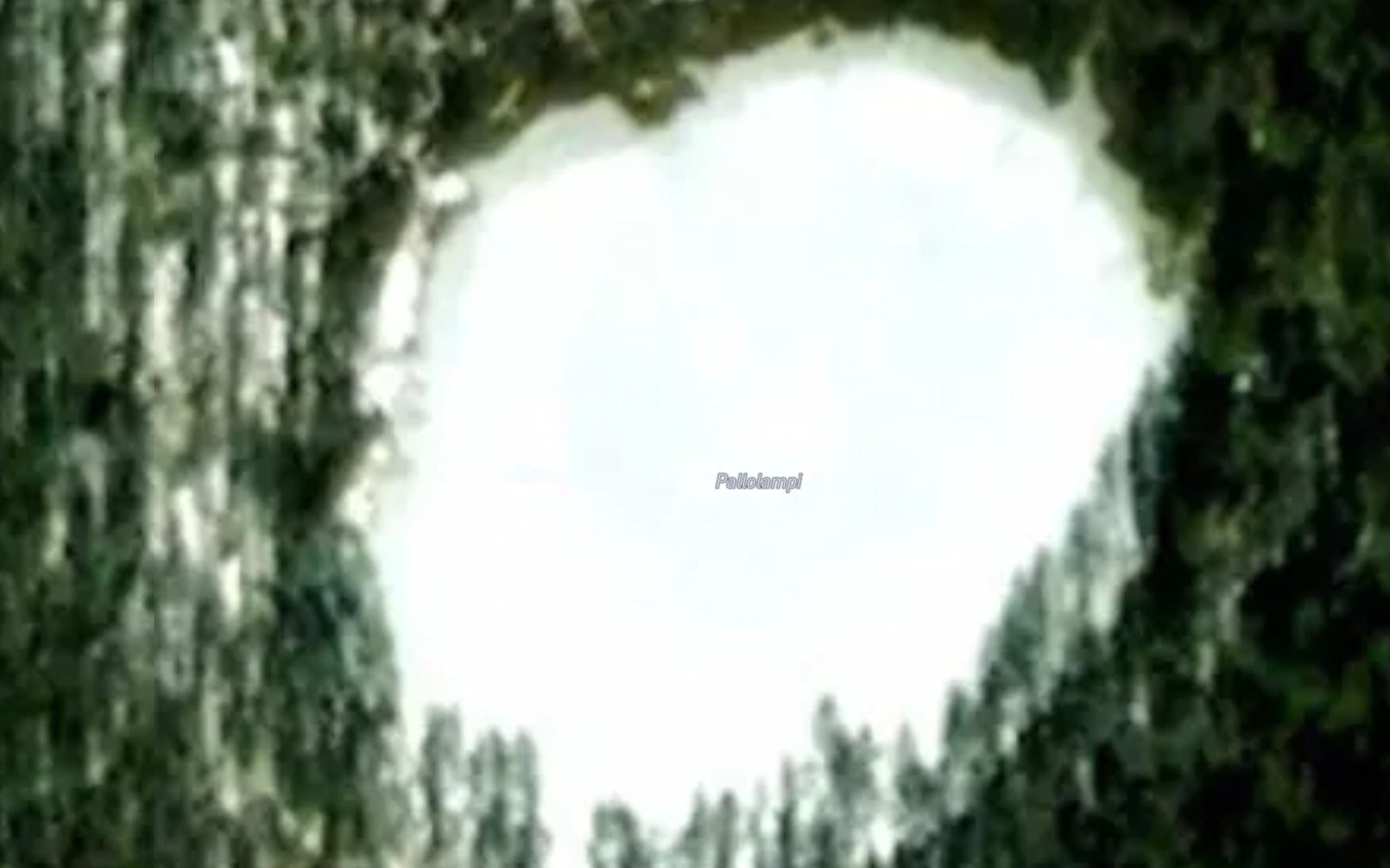 Pallolampi