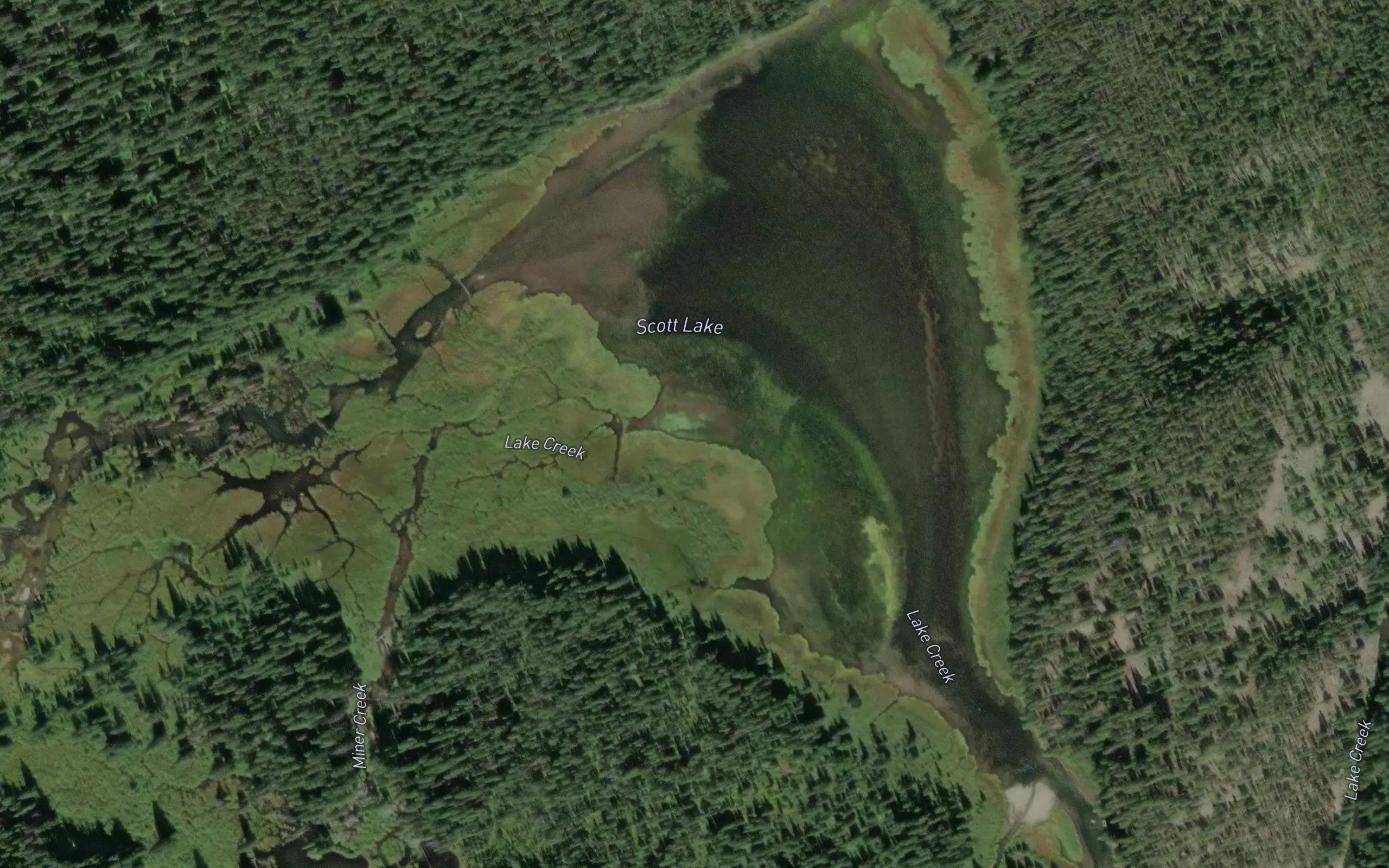 Scott Lake