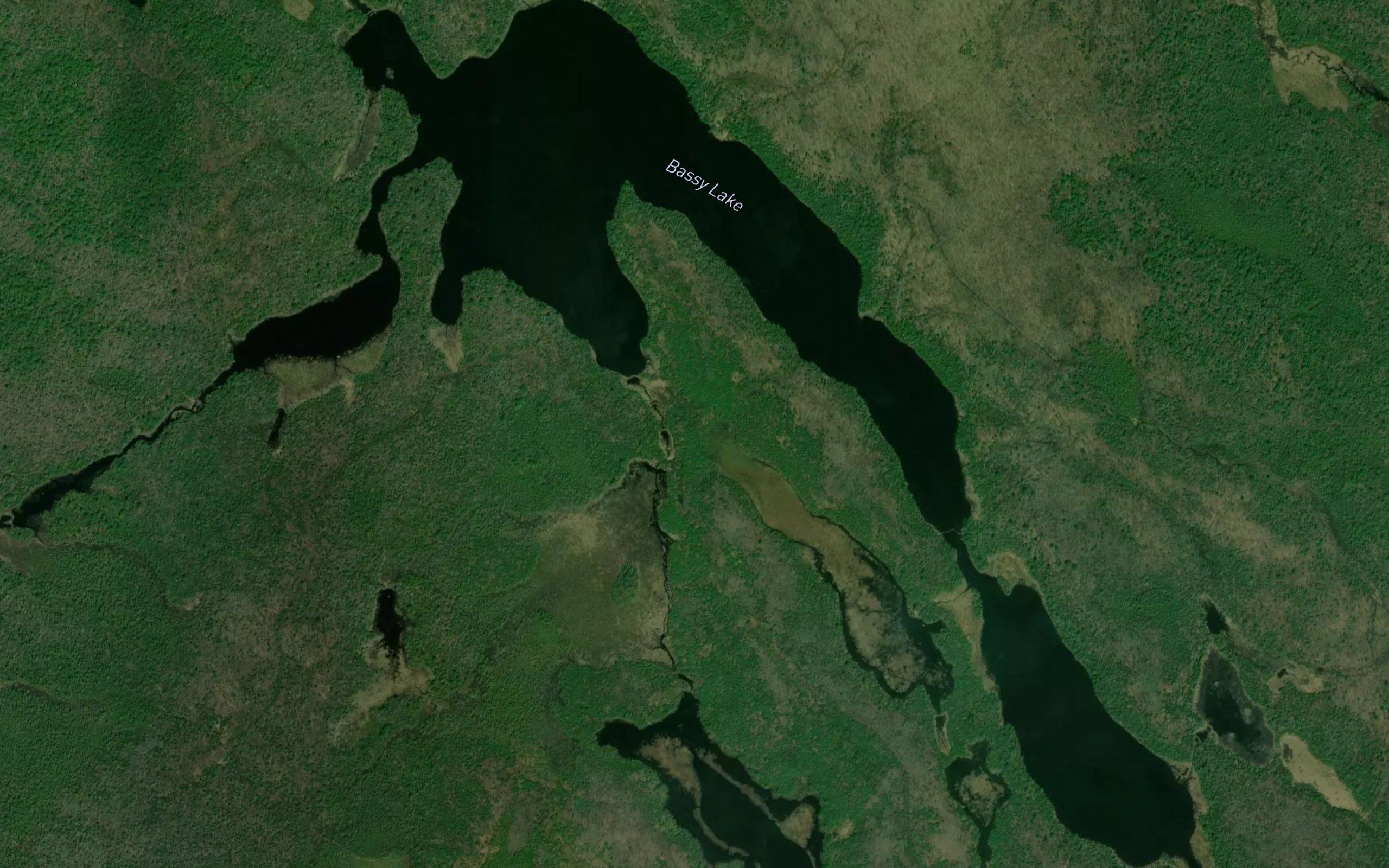 Bassy Lake