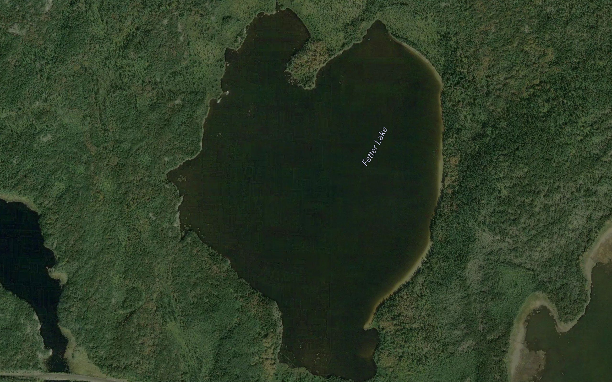 Fetter Lake