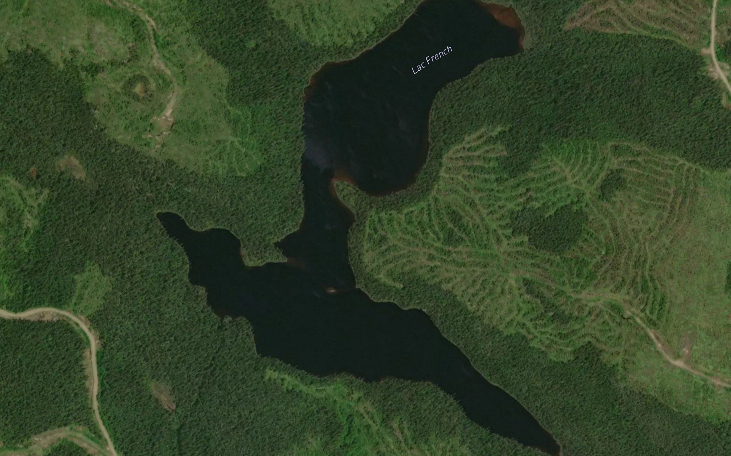 Lac French