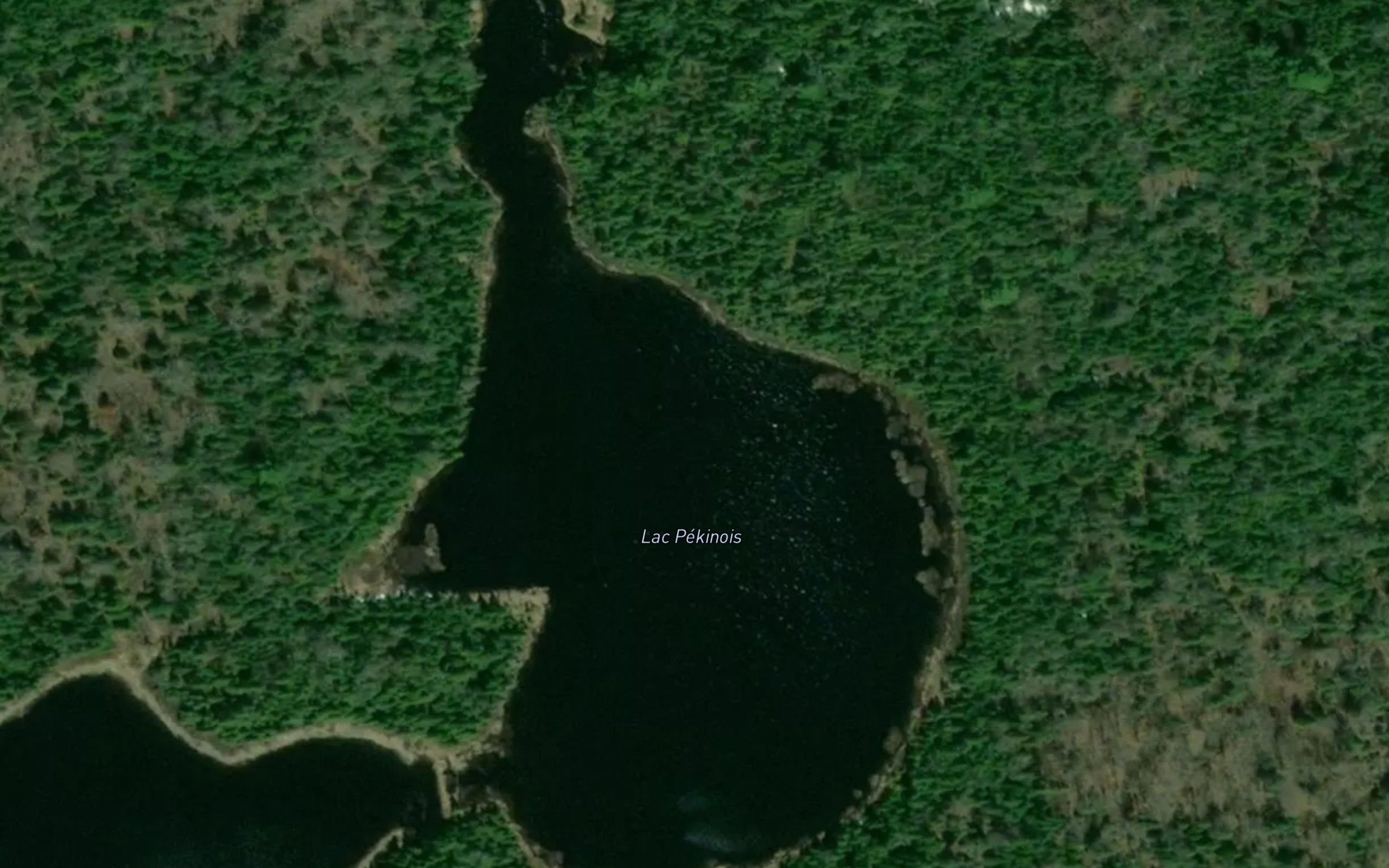 Lac Pekinois