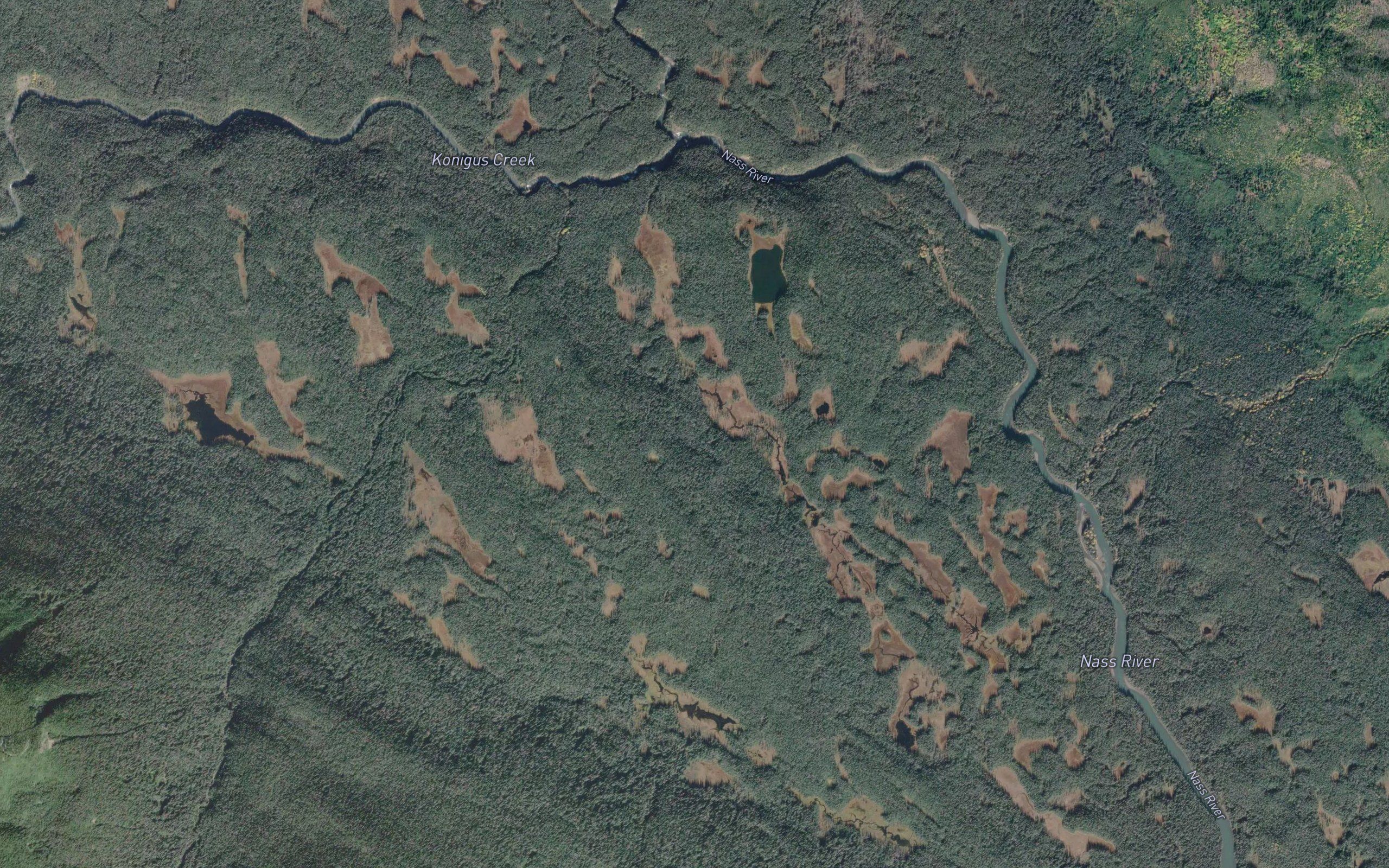 Konigus Creek