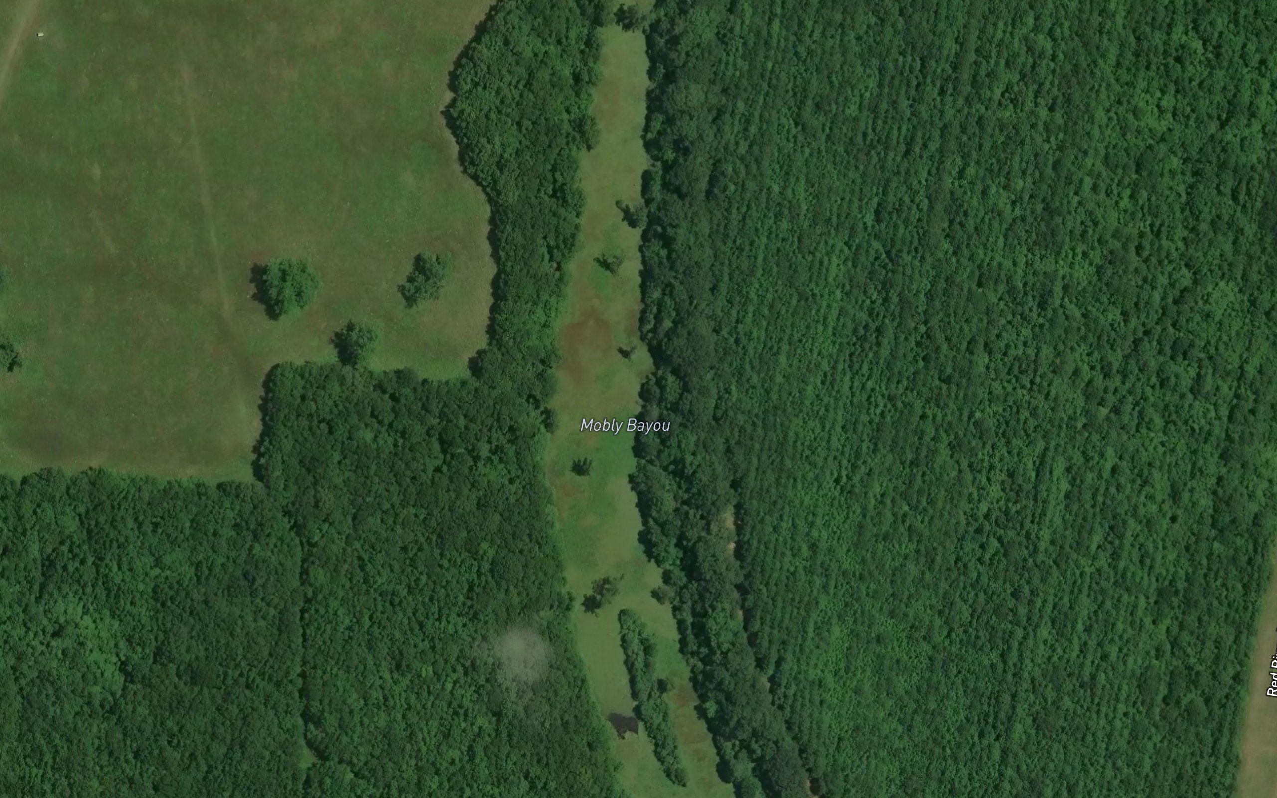 Mobly Bayou