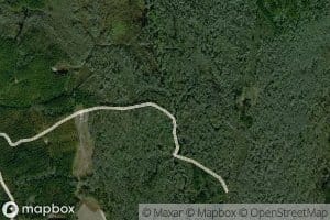 White Oak Swamp