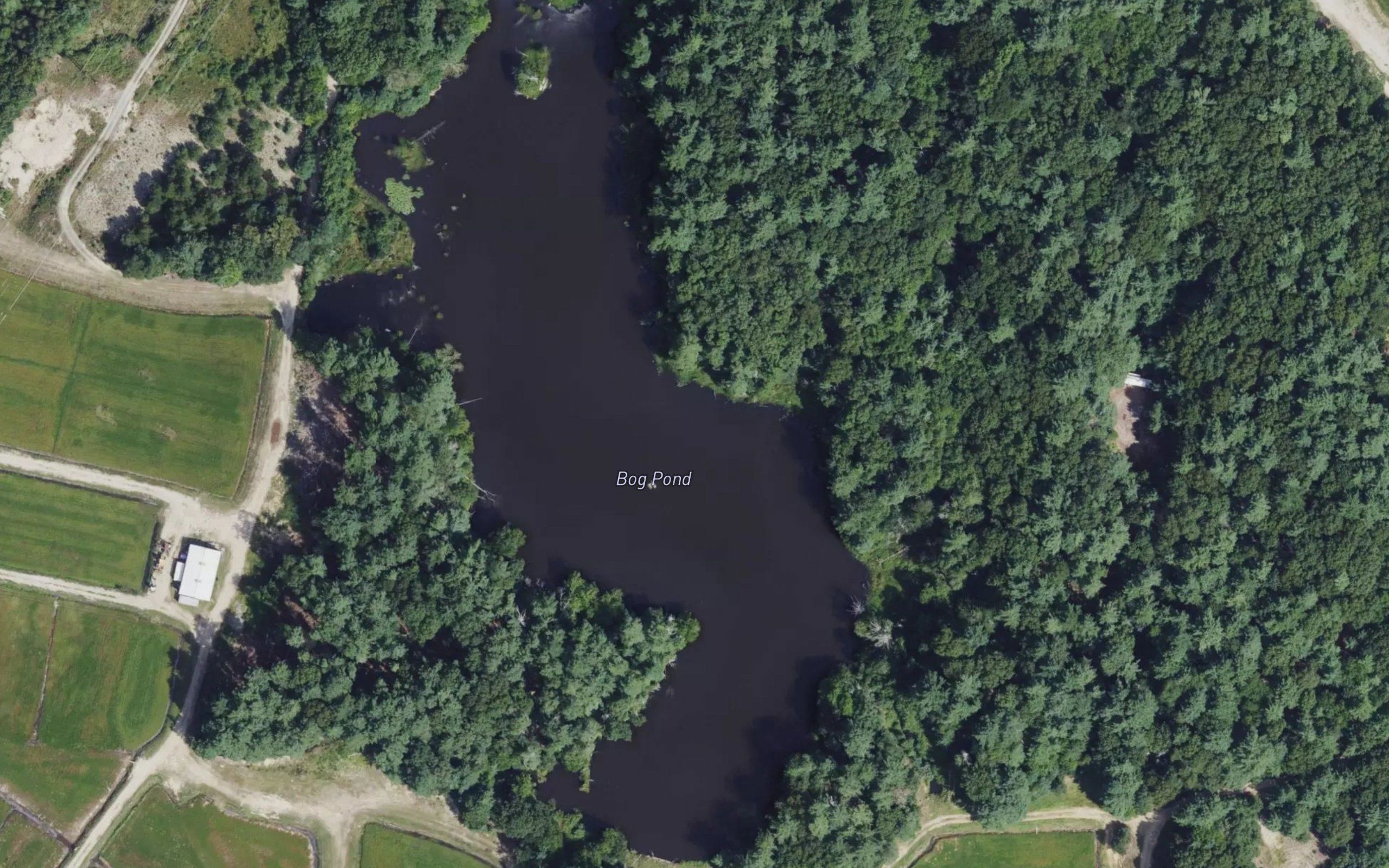 Bog Pond
