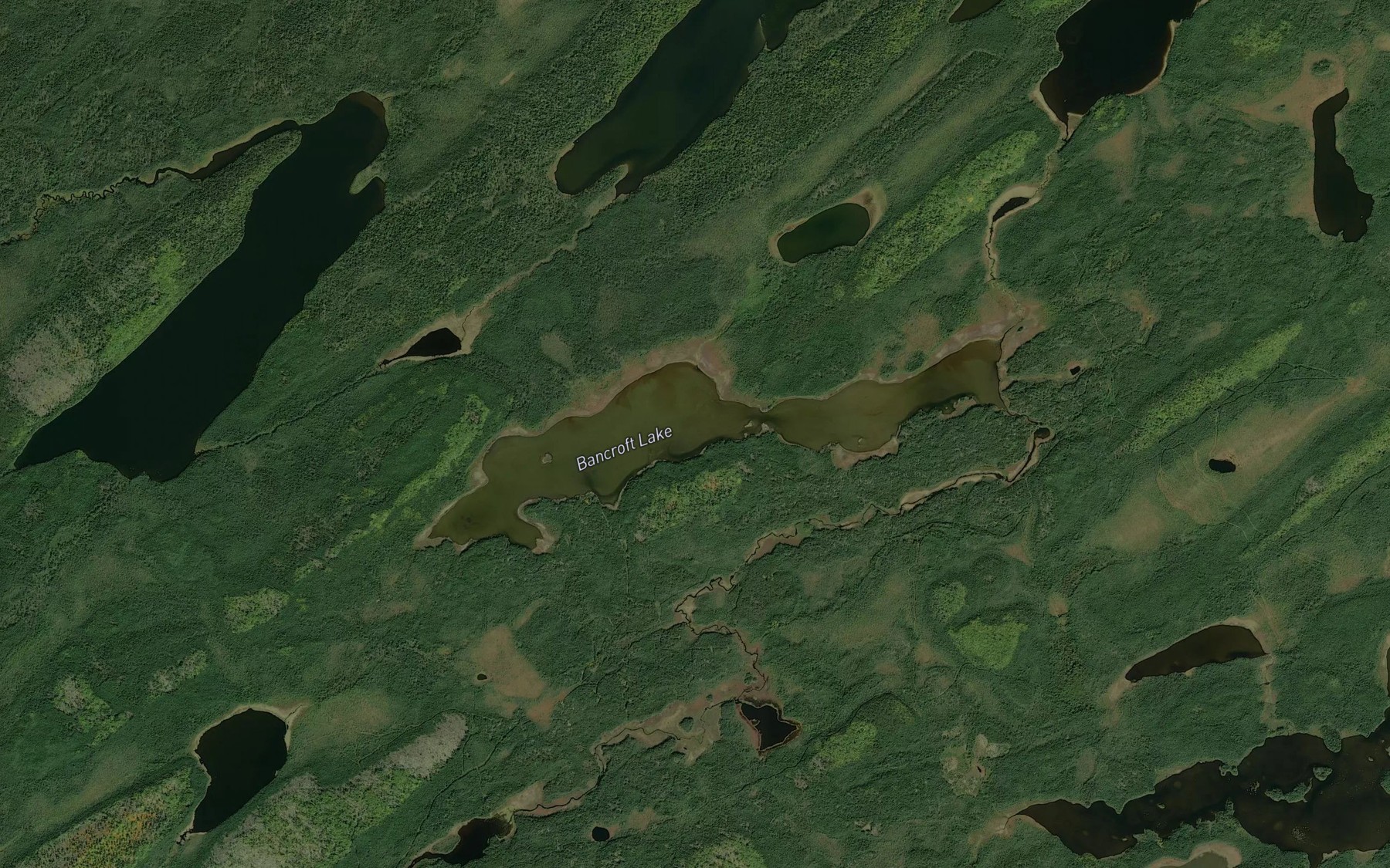 Satellite map of the Bancroft Lake