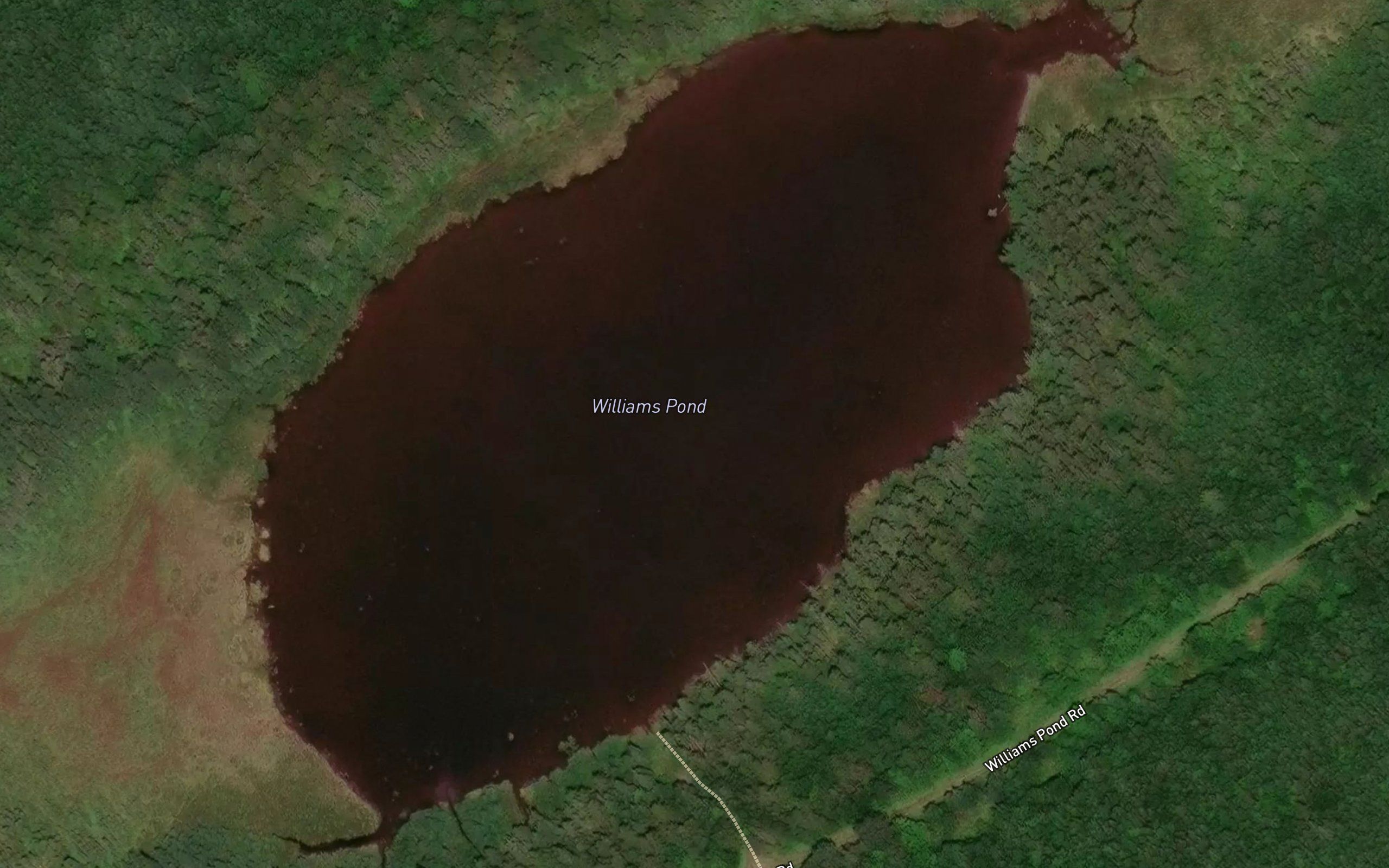 Williams Pond