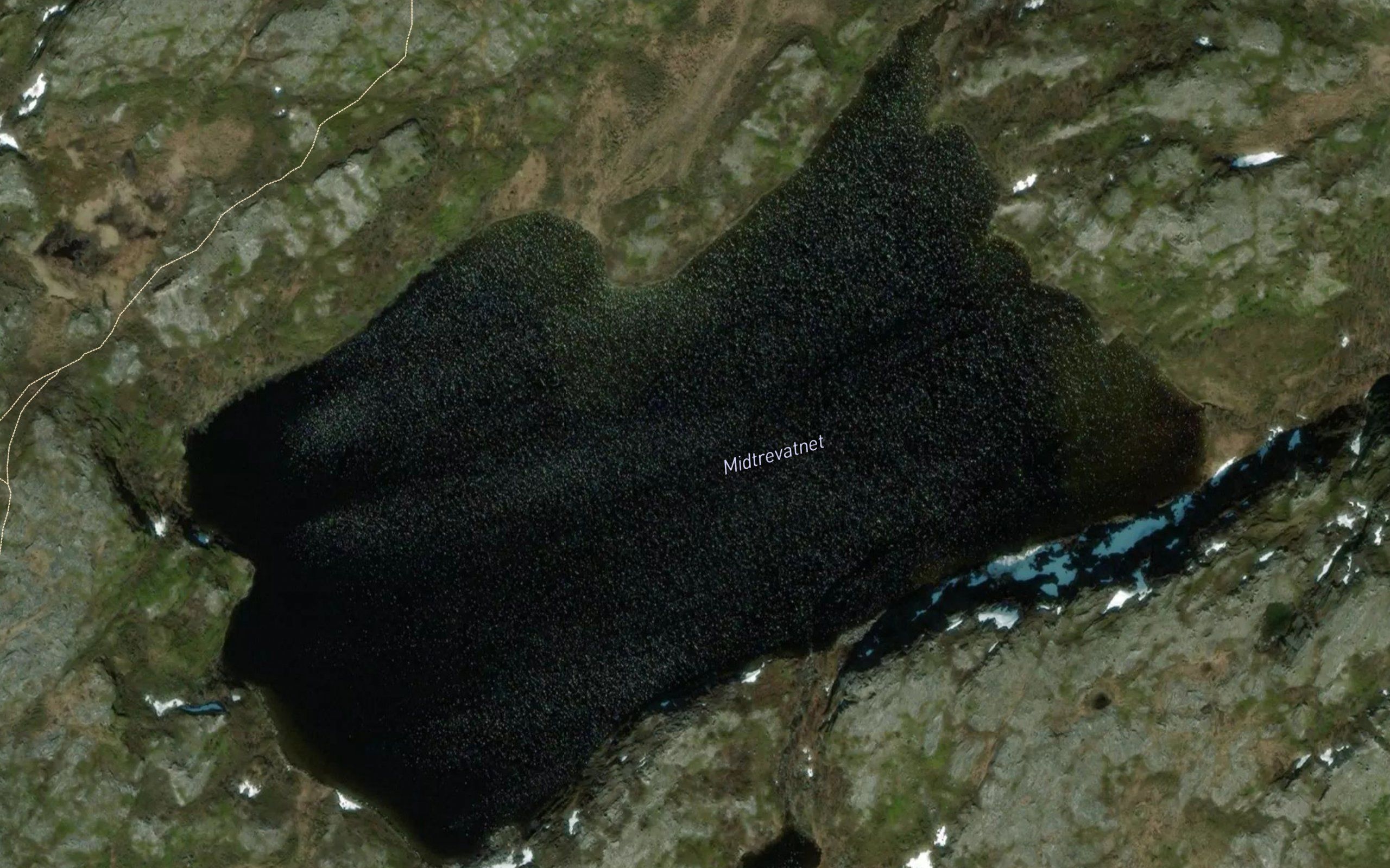 Midtrevatnet