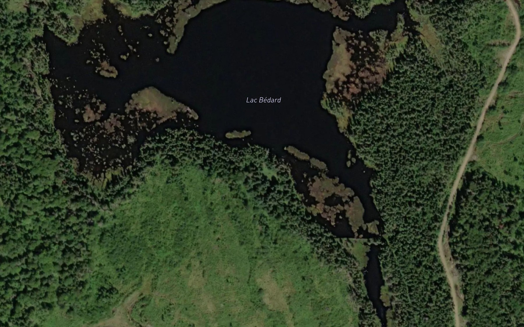 Satellite map of the Lac Bedard