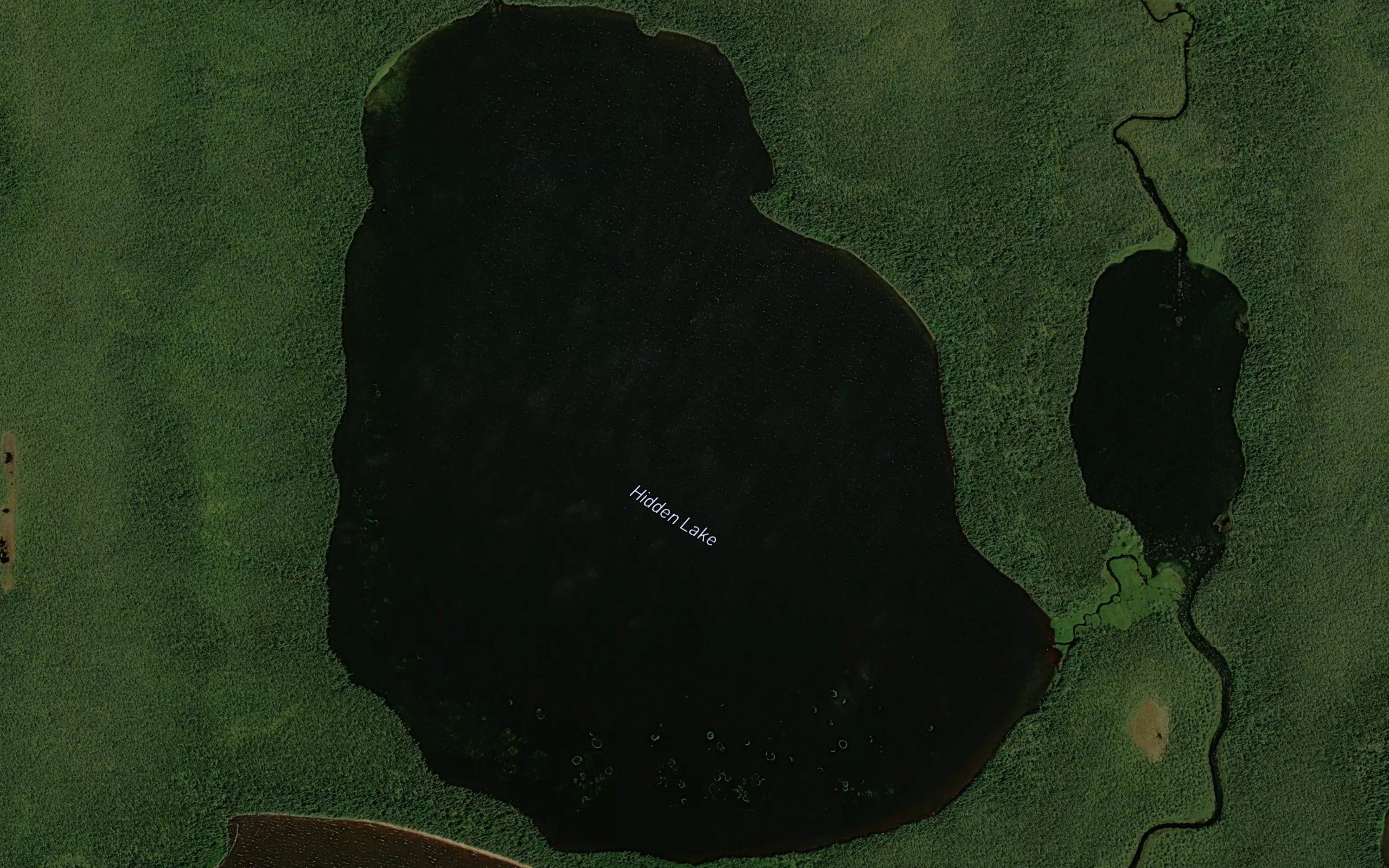 Hidden Lake